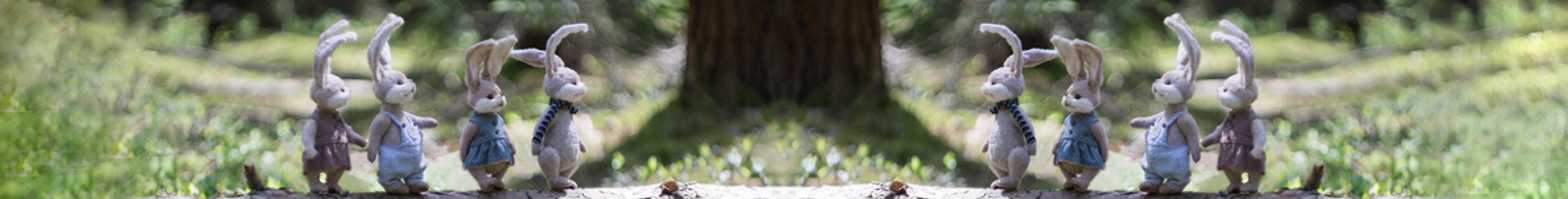 Shop cover image