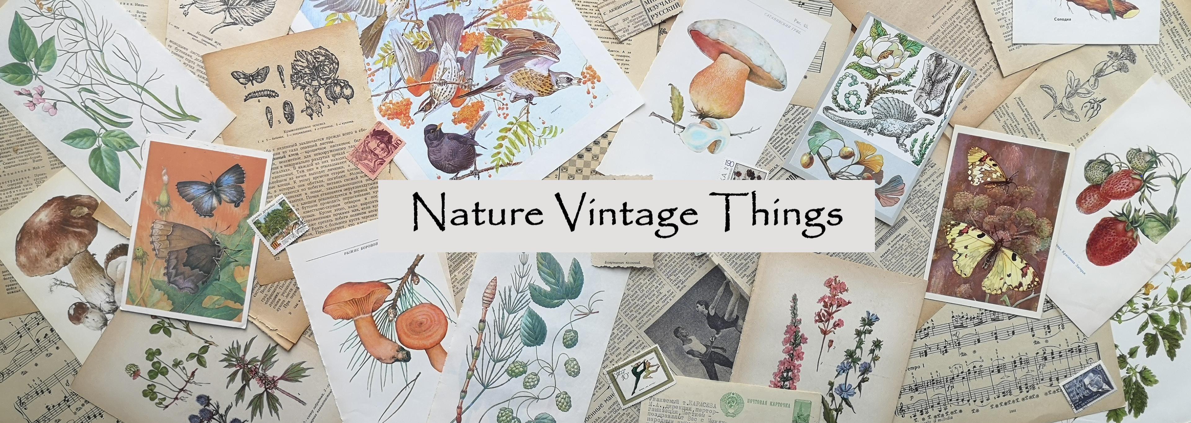 Shop cover image