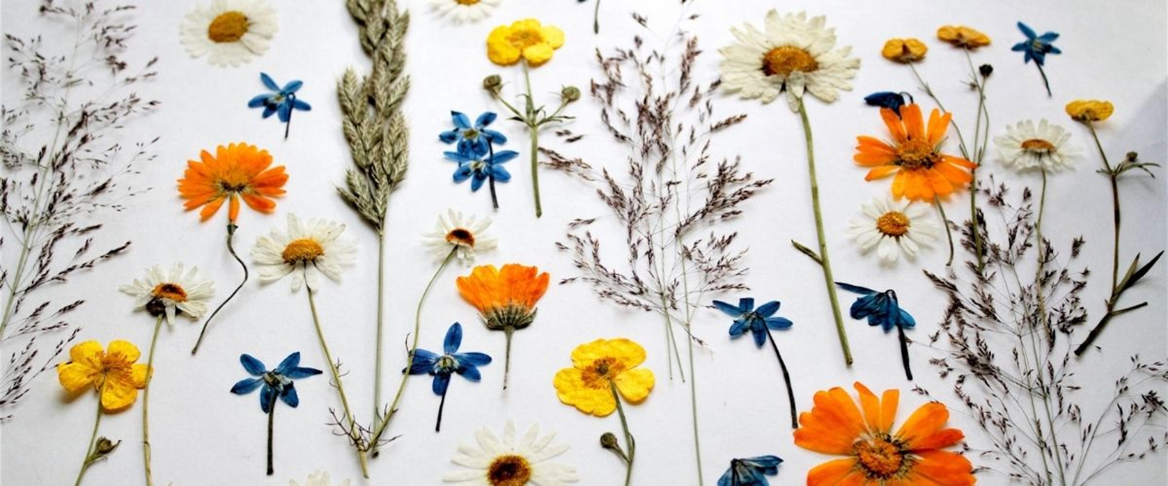 Shop cover image