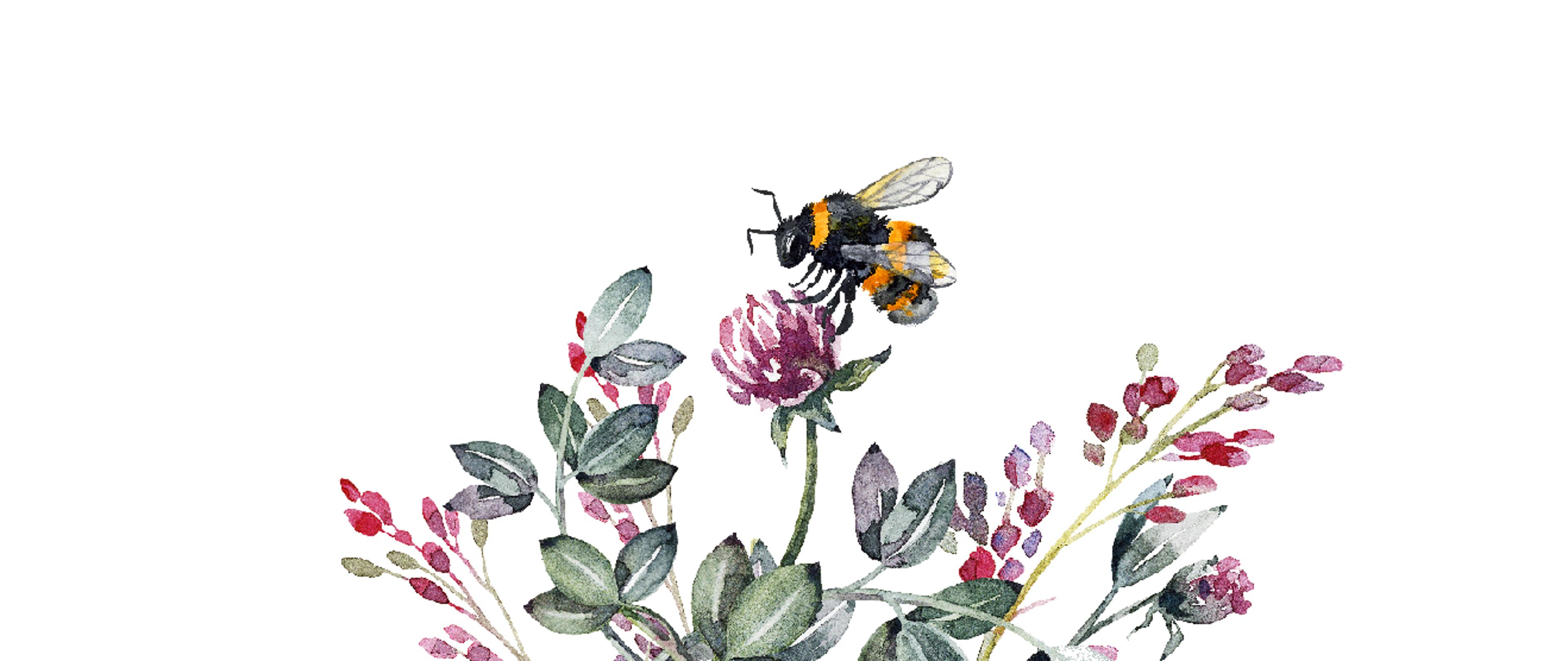 Shop cover image