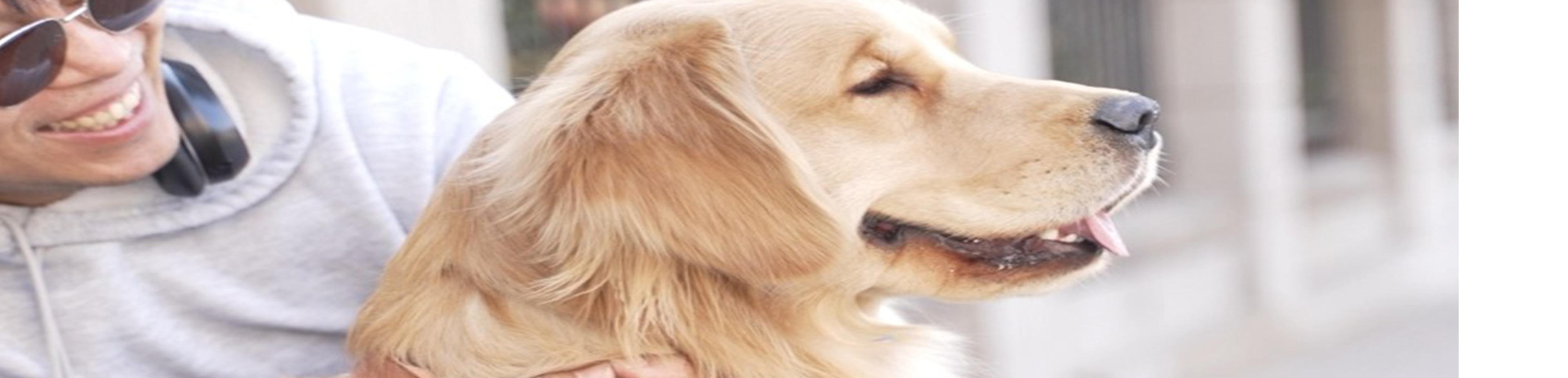 Shop cover image