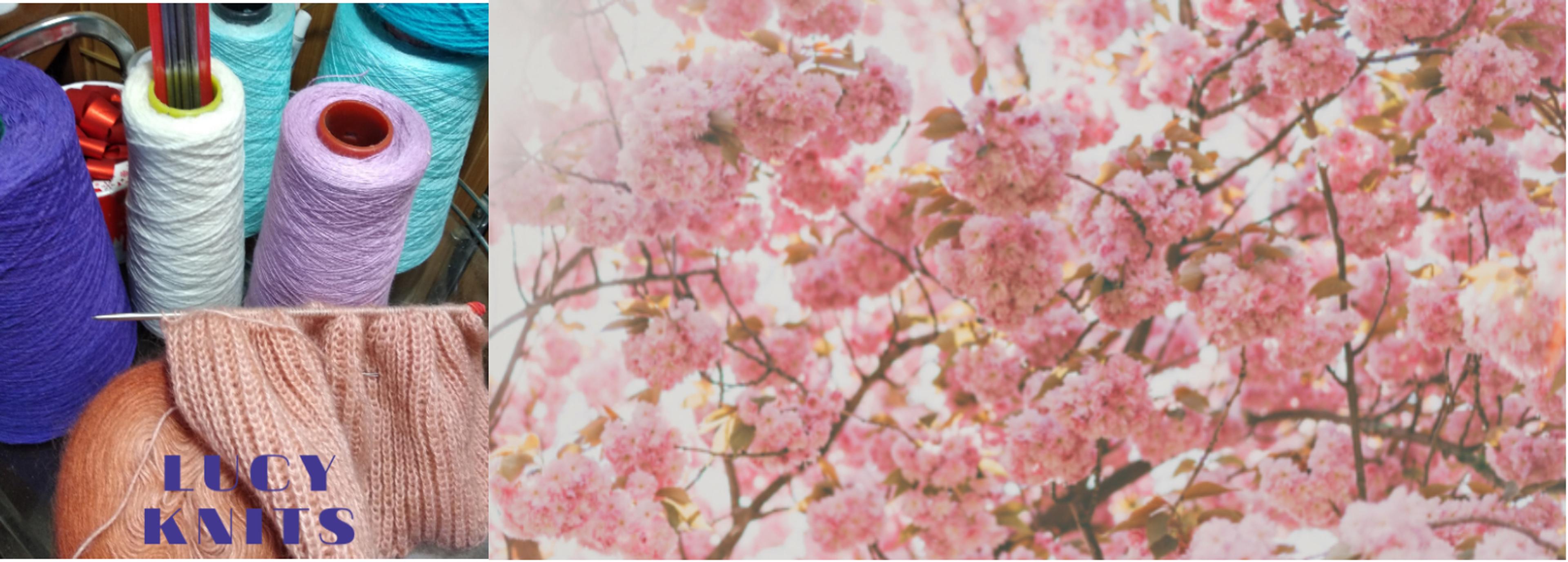 Shop cover image