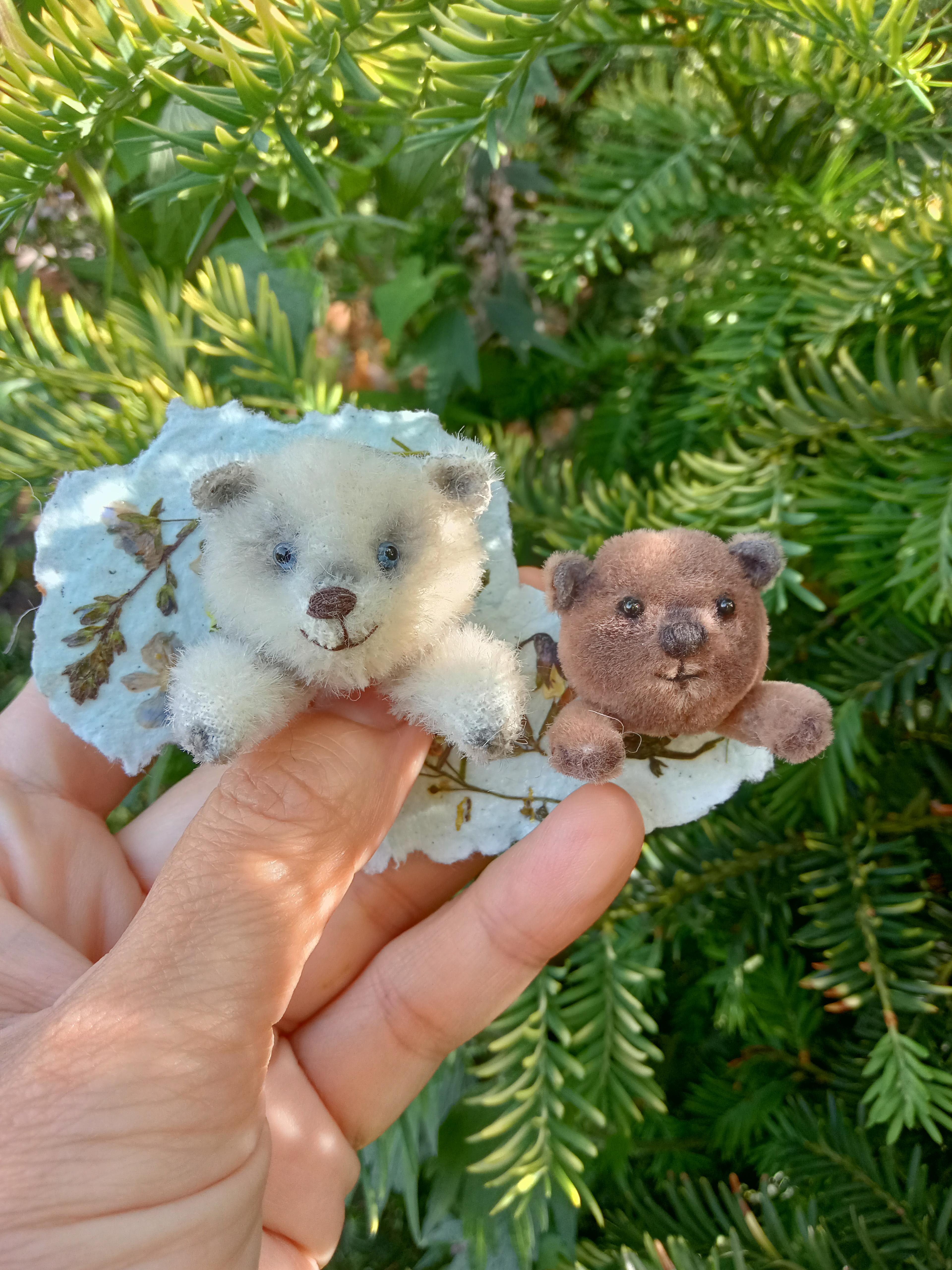 Shop cover image