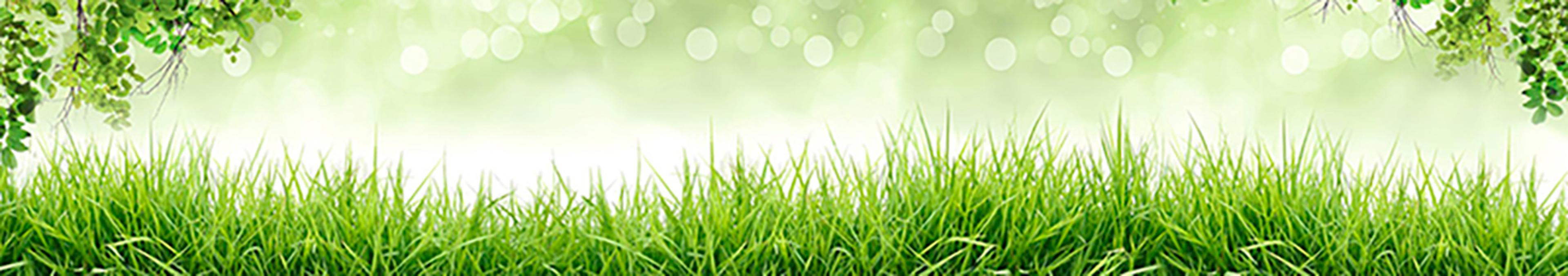 Shop cover image
