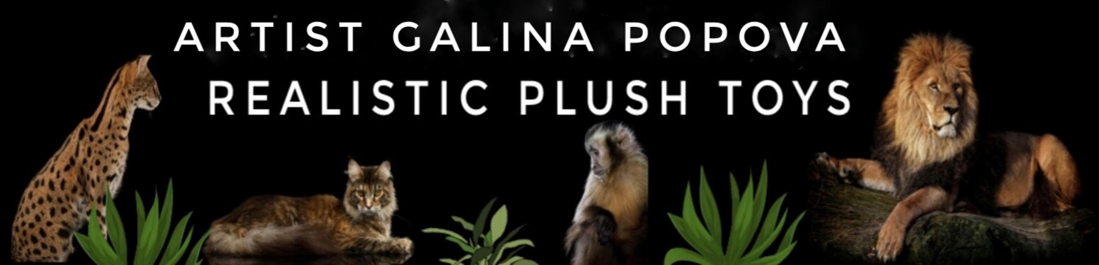 Shop cover image