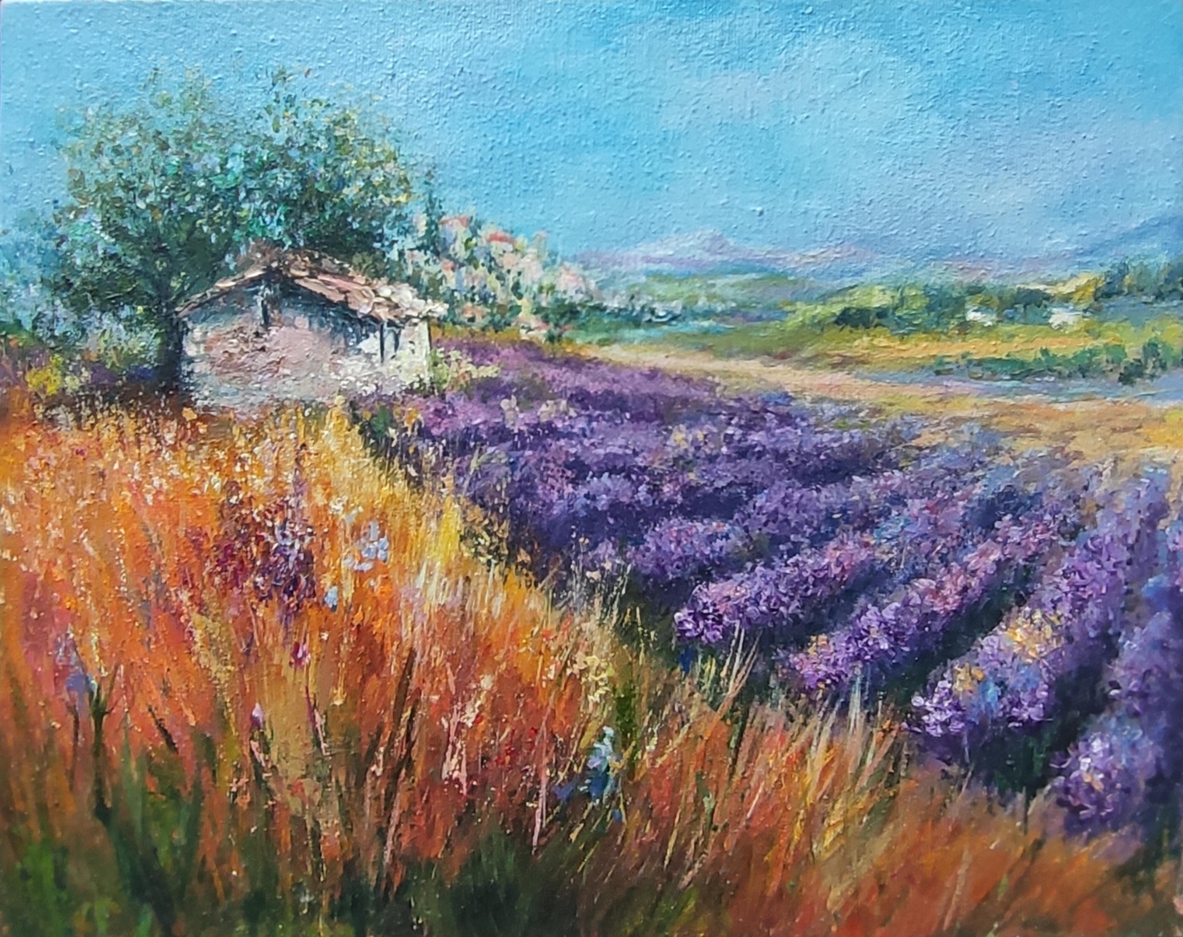 Shop cover image