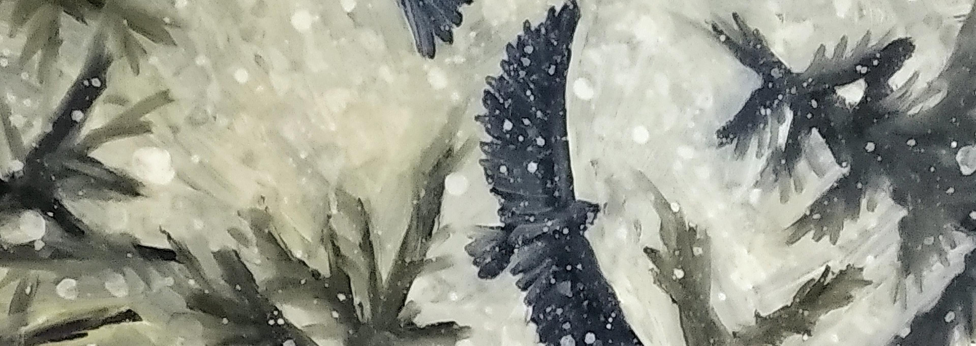 Shop cover image