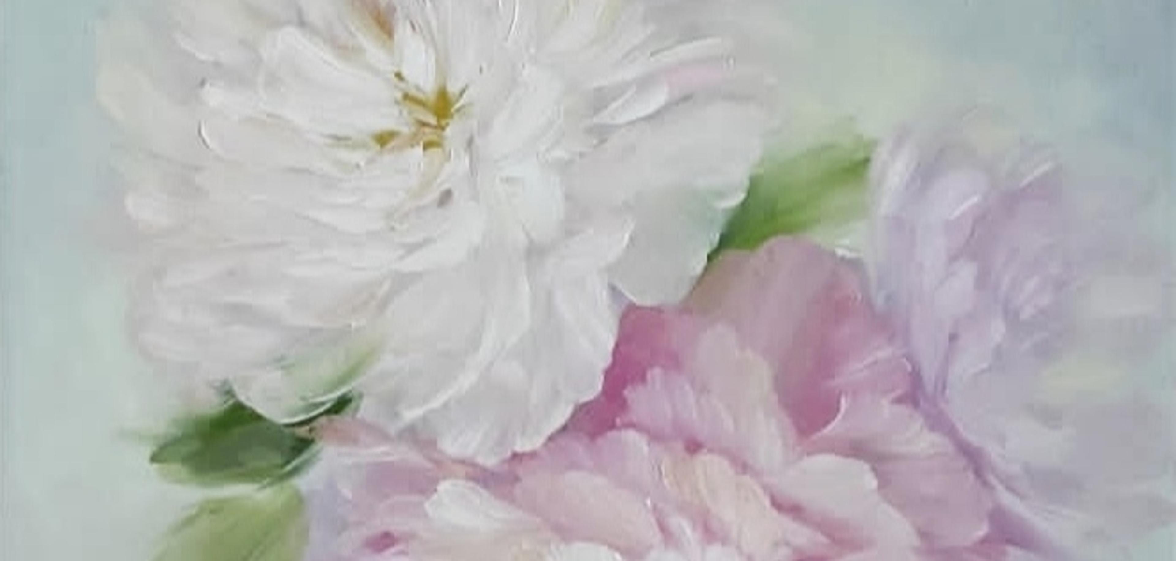 Shop cover image