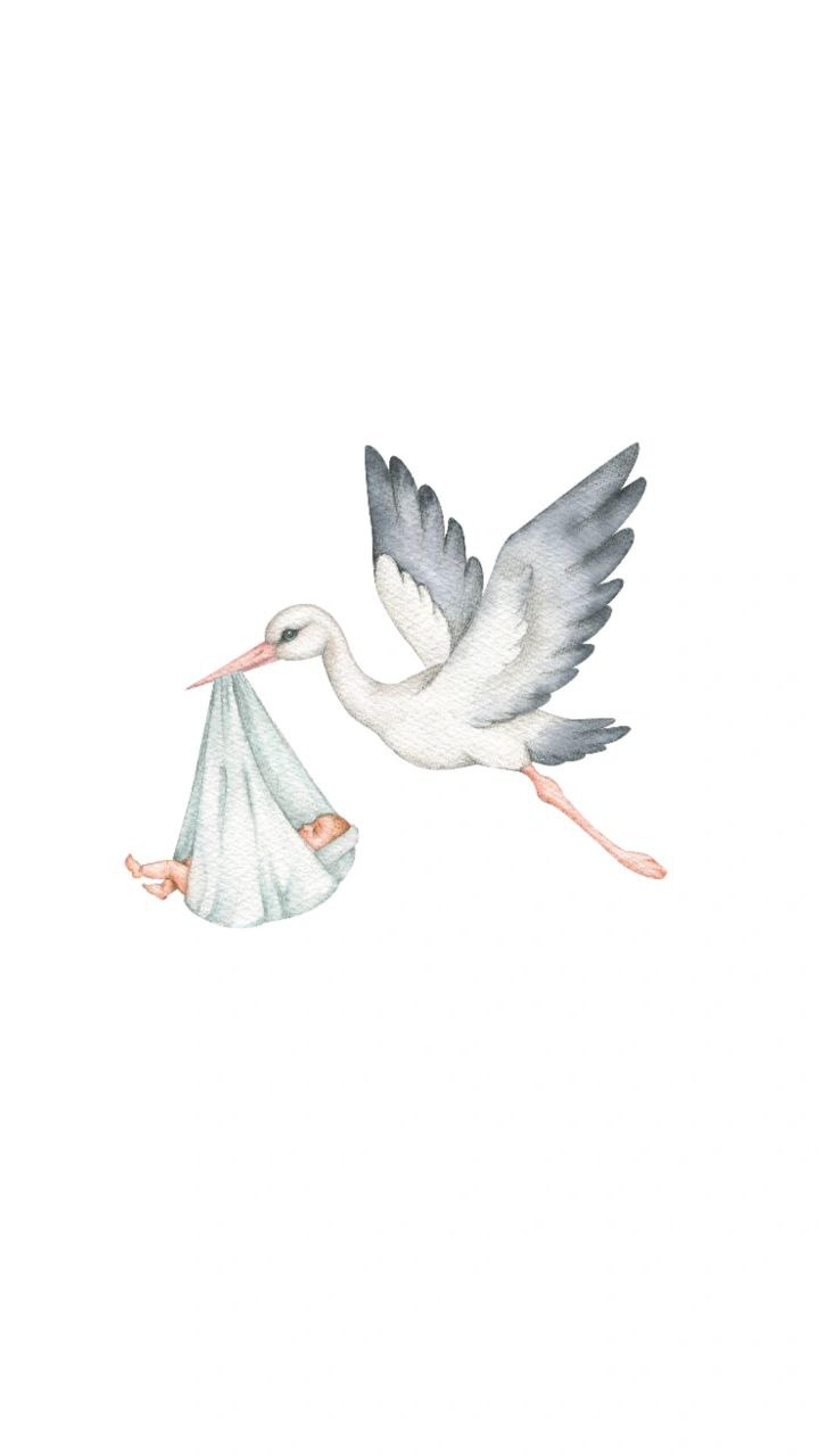 Shop cover image