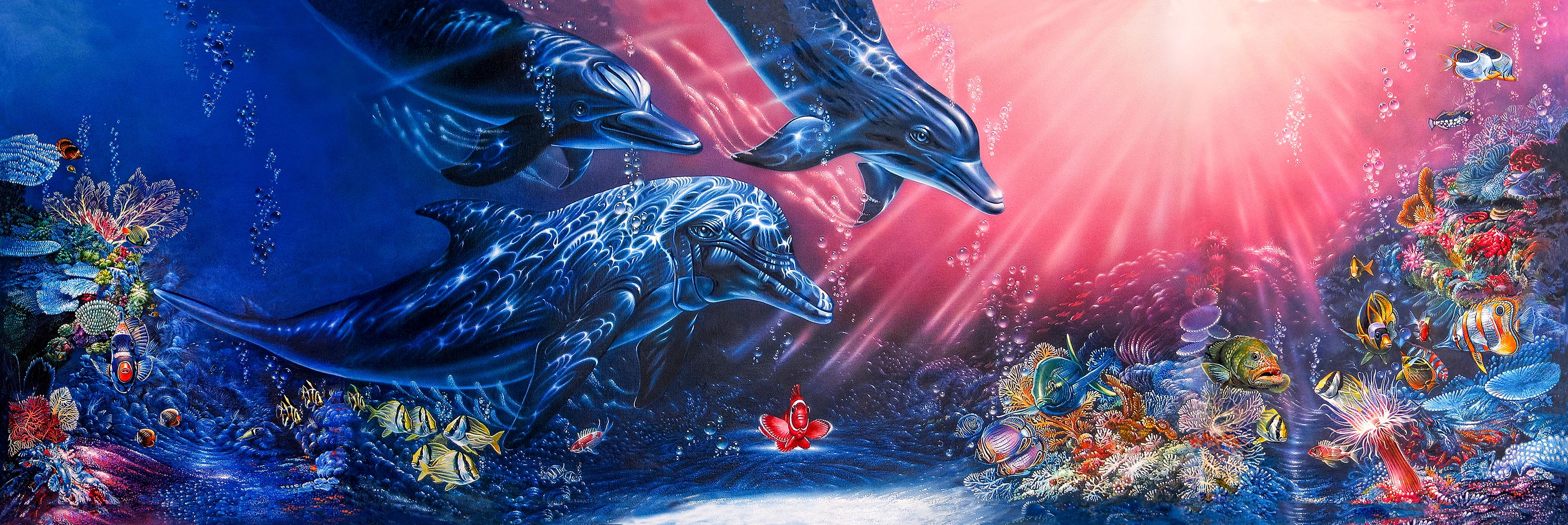 Shop cover image