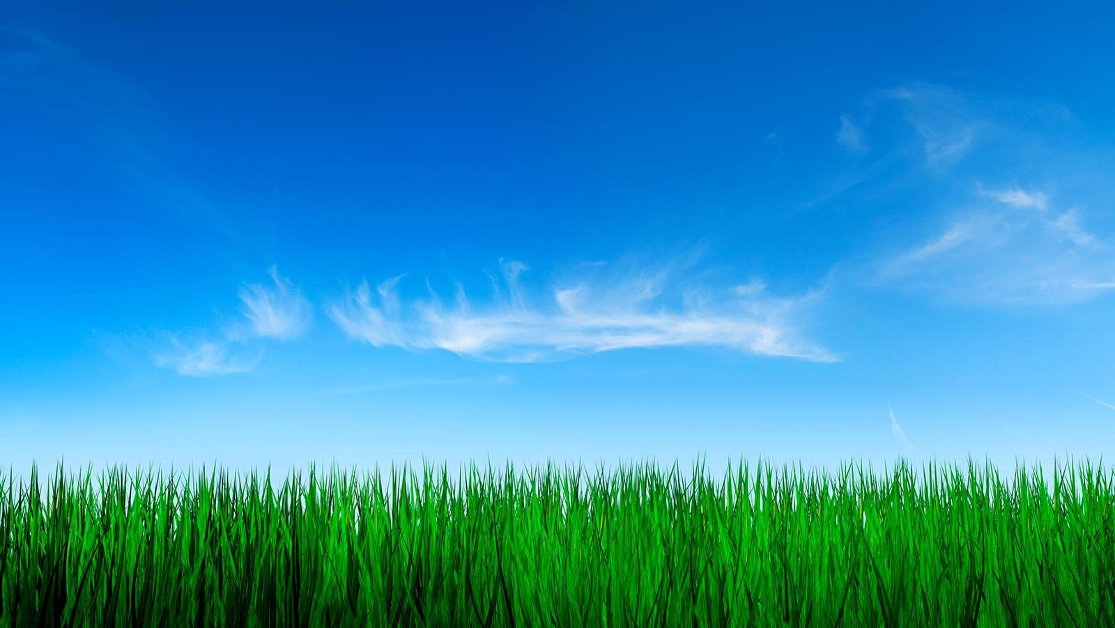 Shop cover image