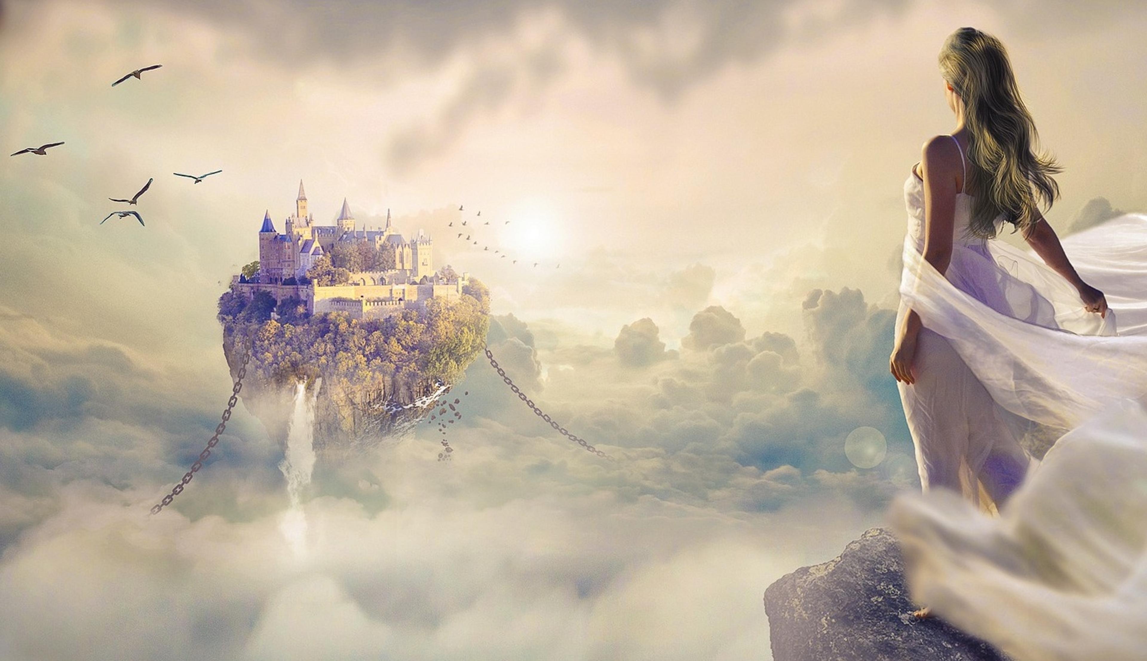 Shop cover image