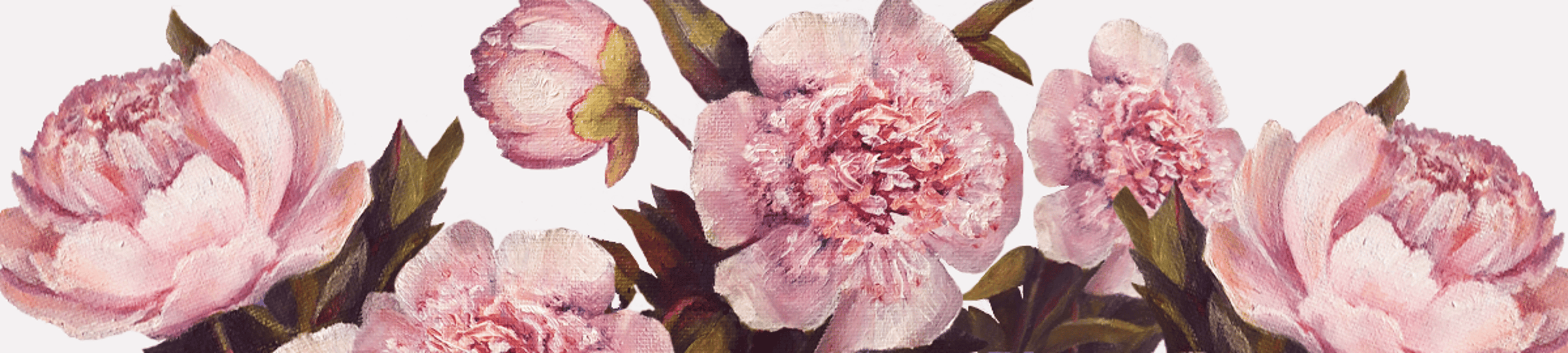 Shop cover image