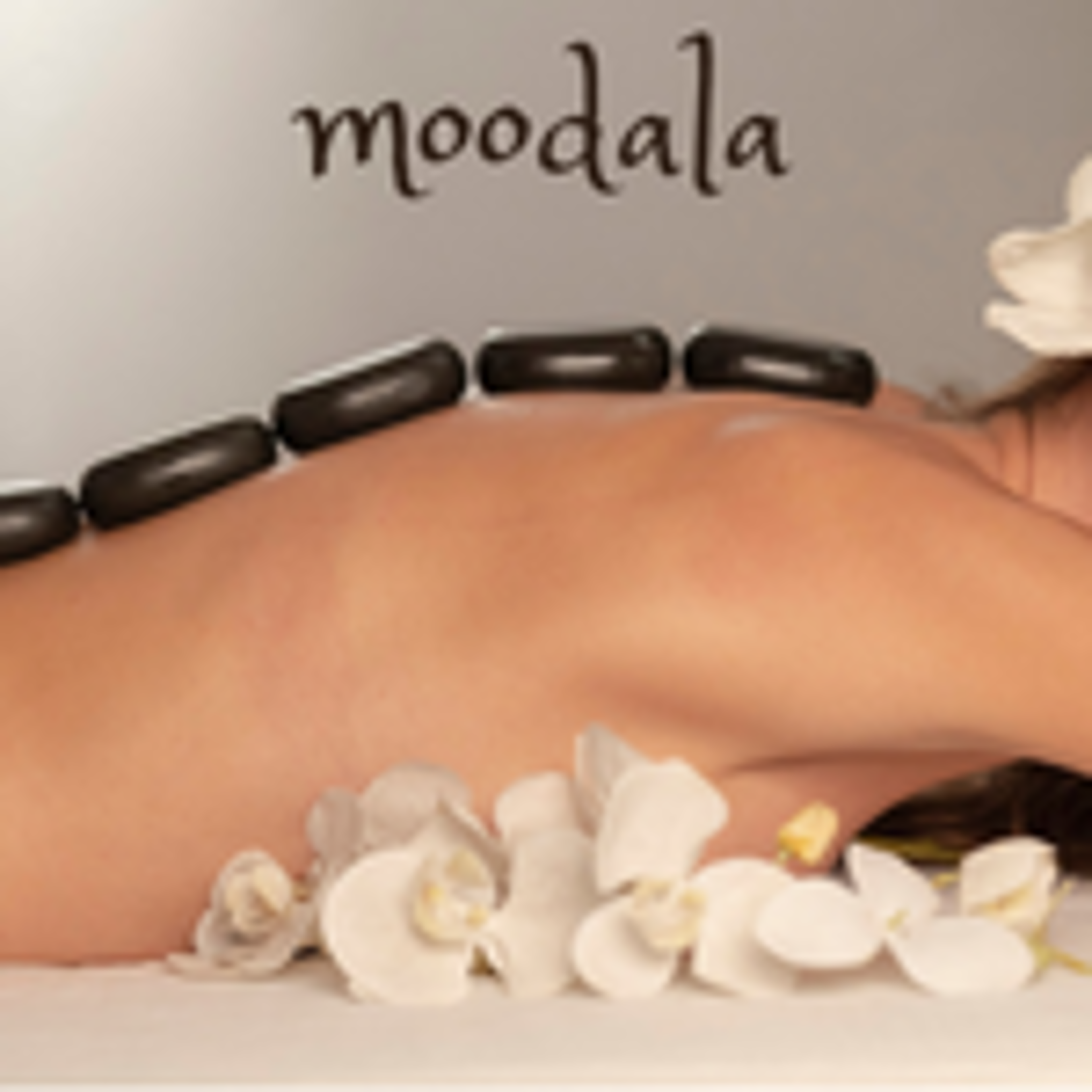 Shop cover image