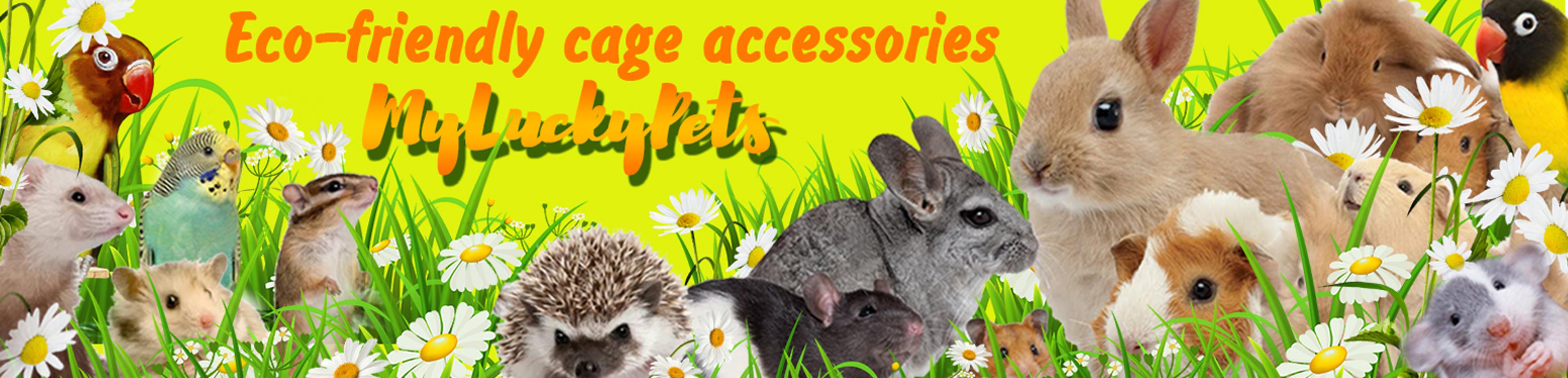 Shop cover image