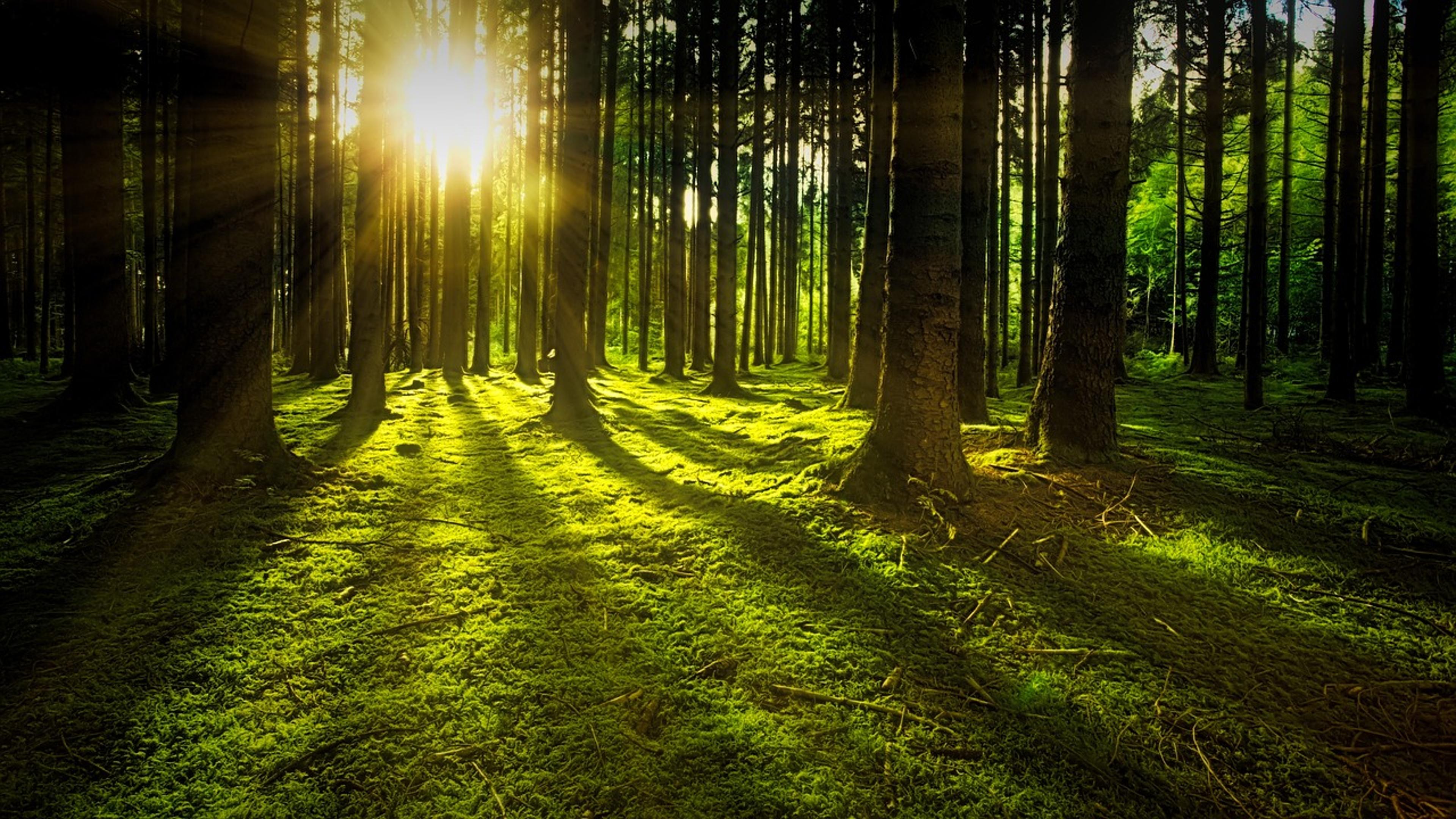 Shop cover image