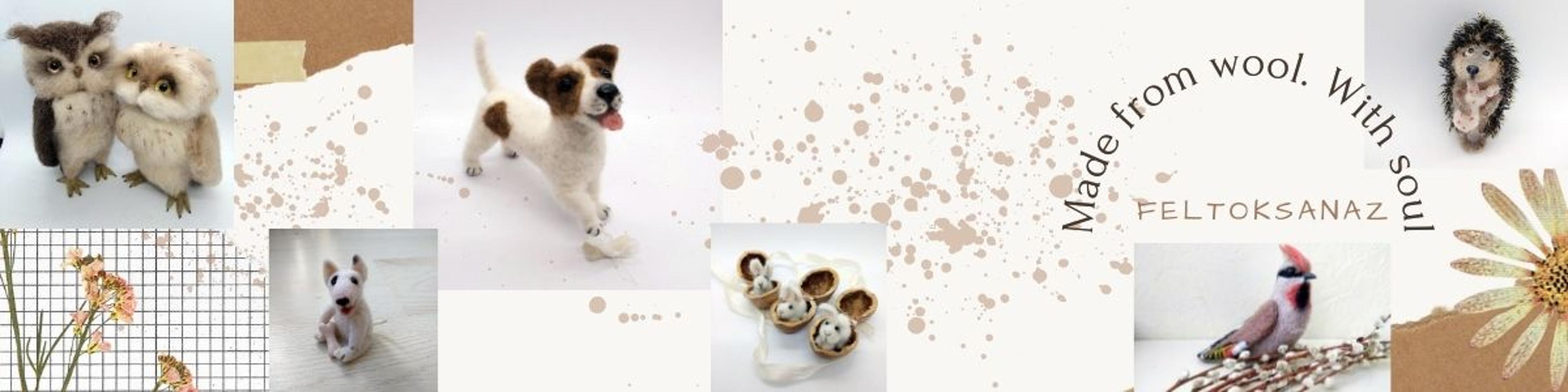 Shop cover image