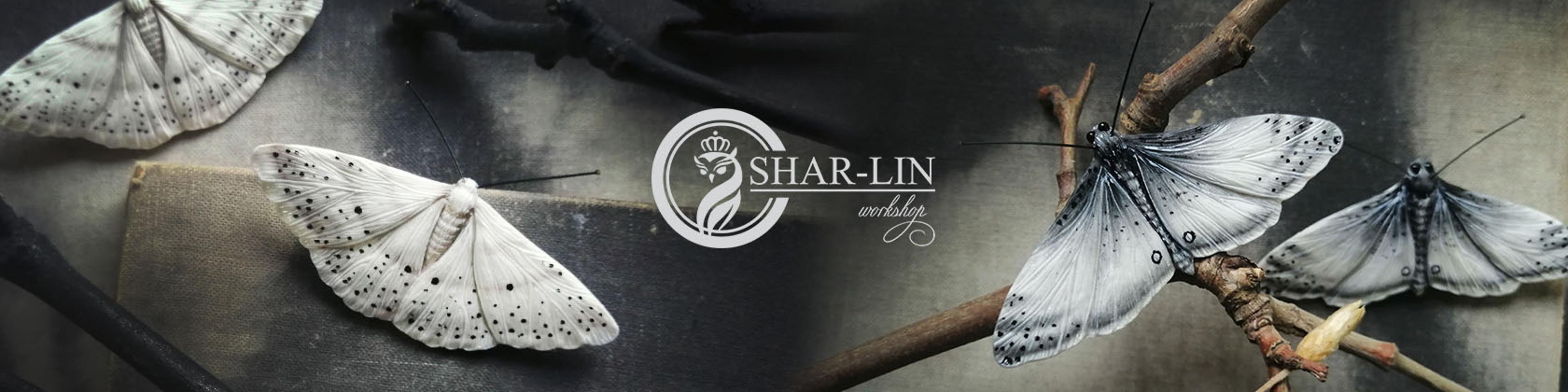 Shop cover image
