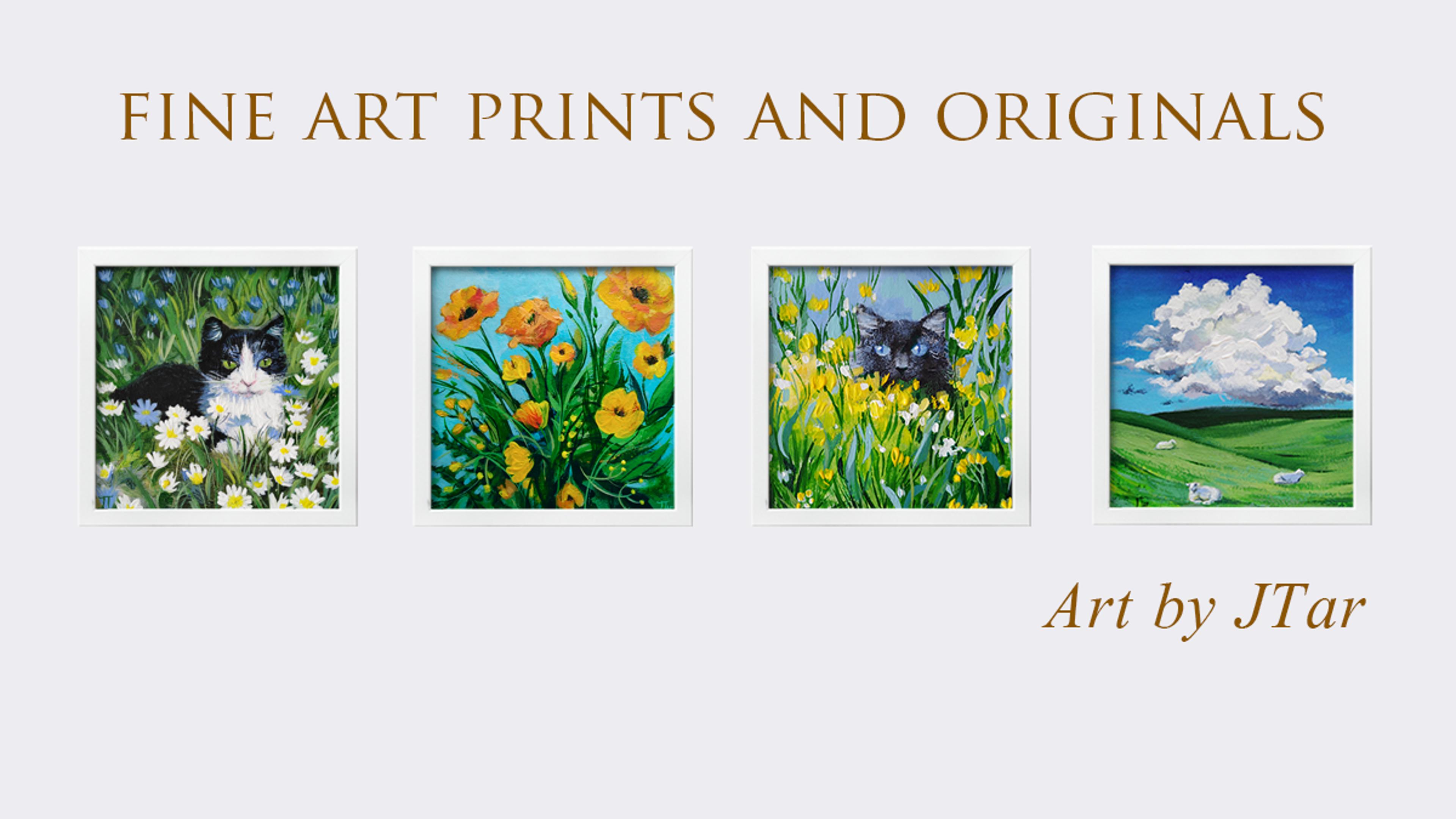 Shop cover image
