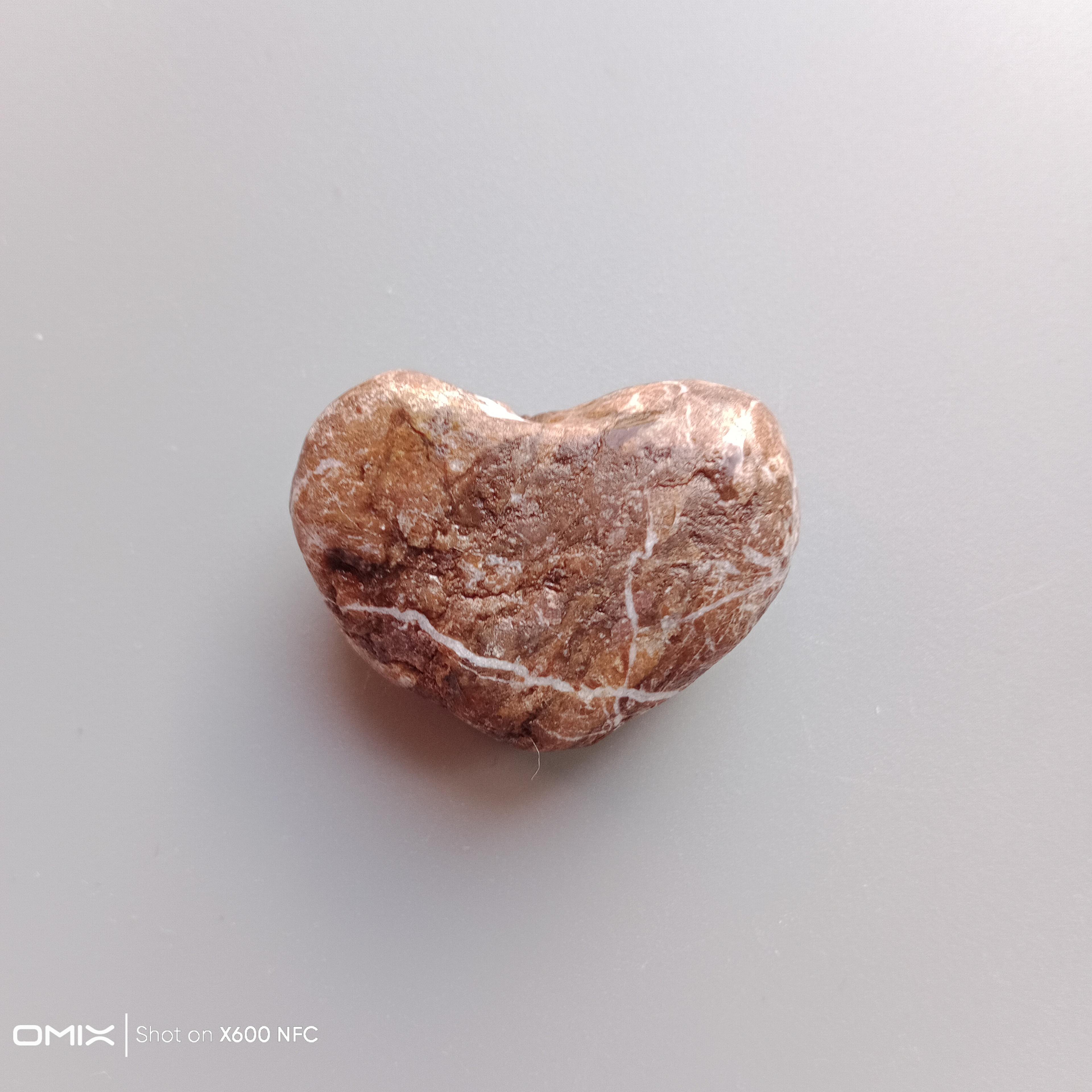 Shop cover image