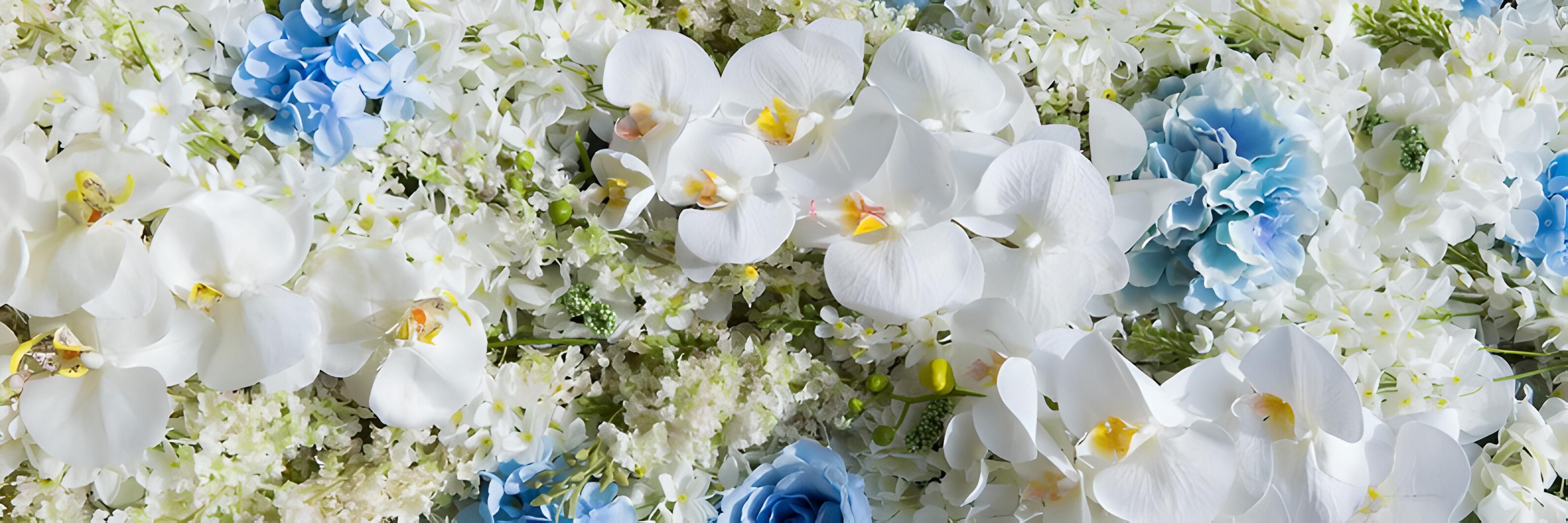 Shop cover image
