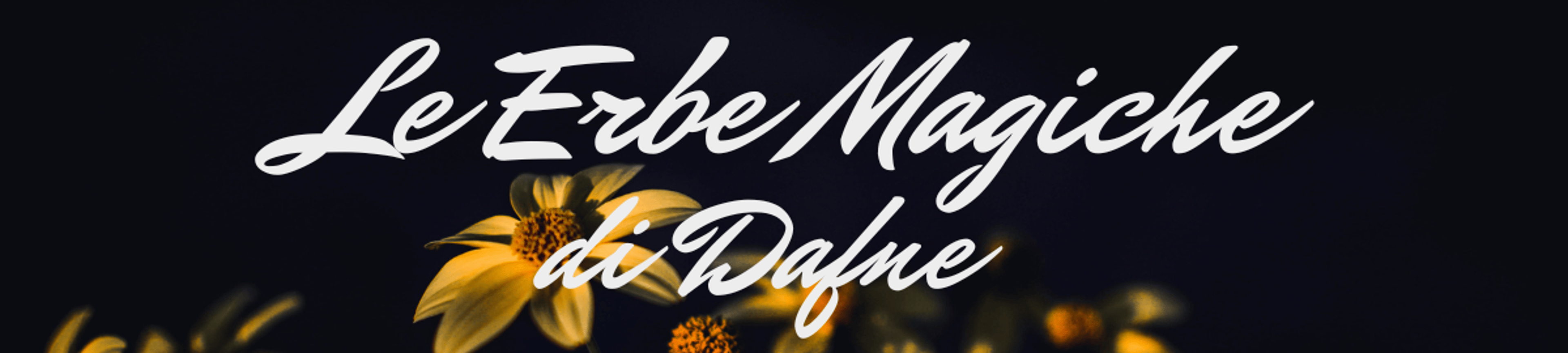 Shop cover image