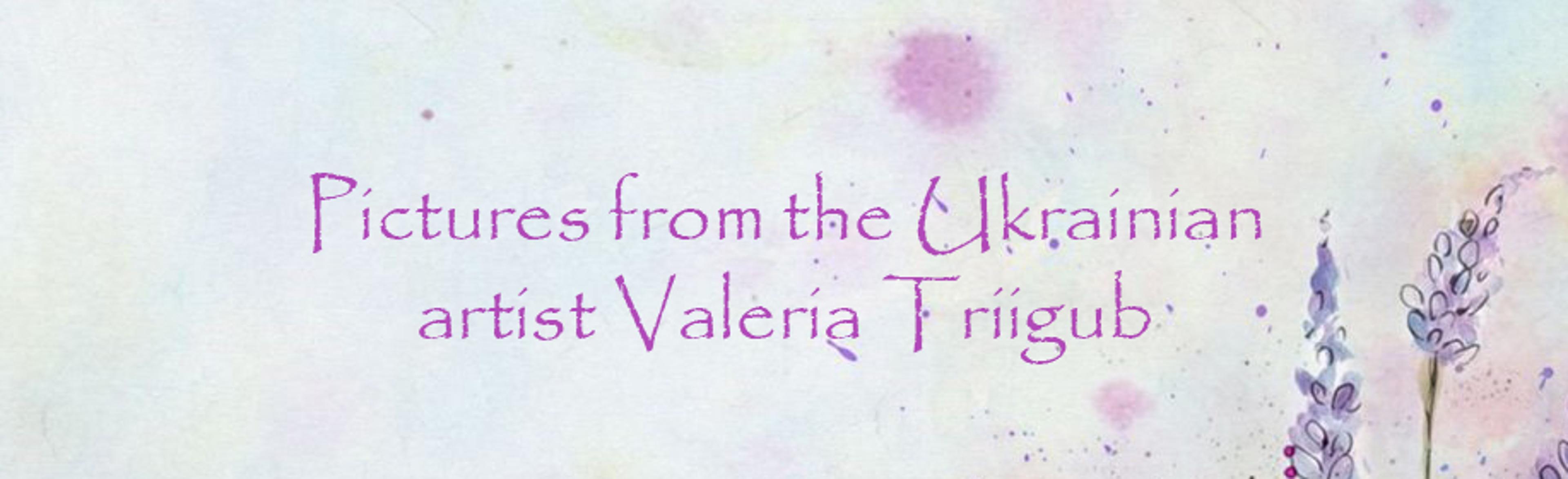Shop cover image