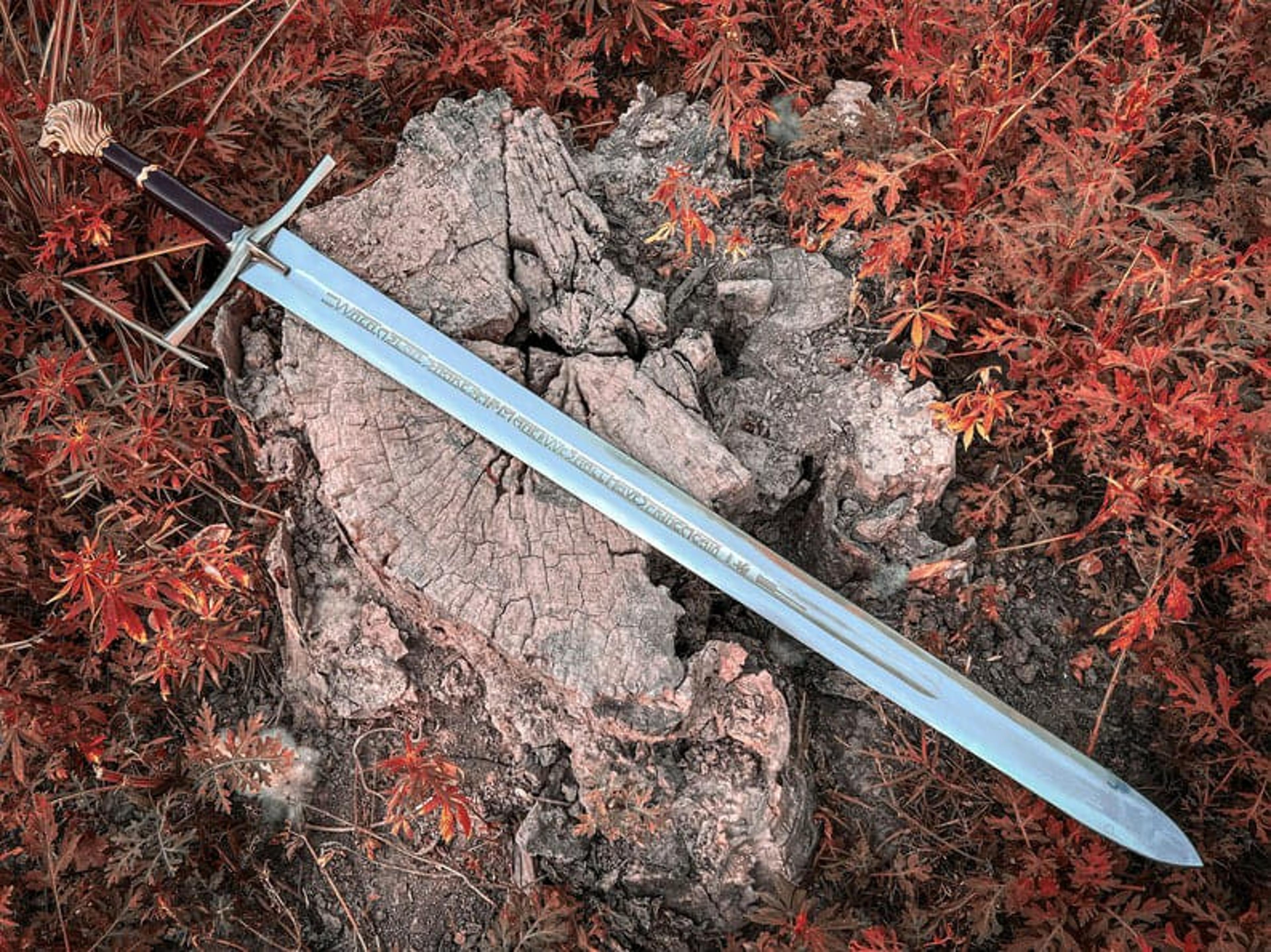 Shop cover image