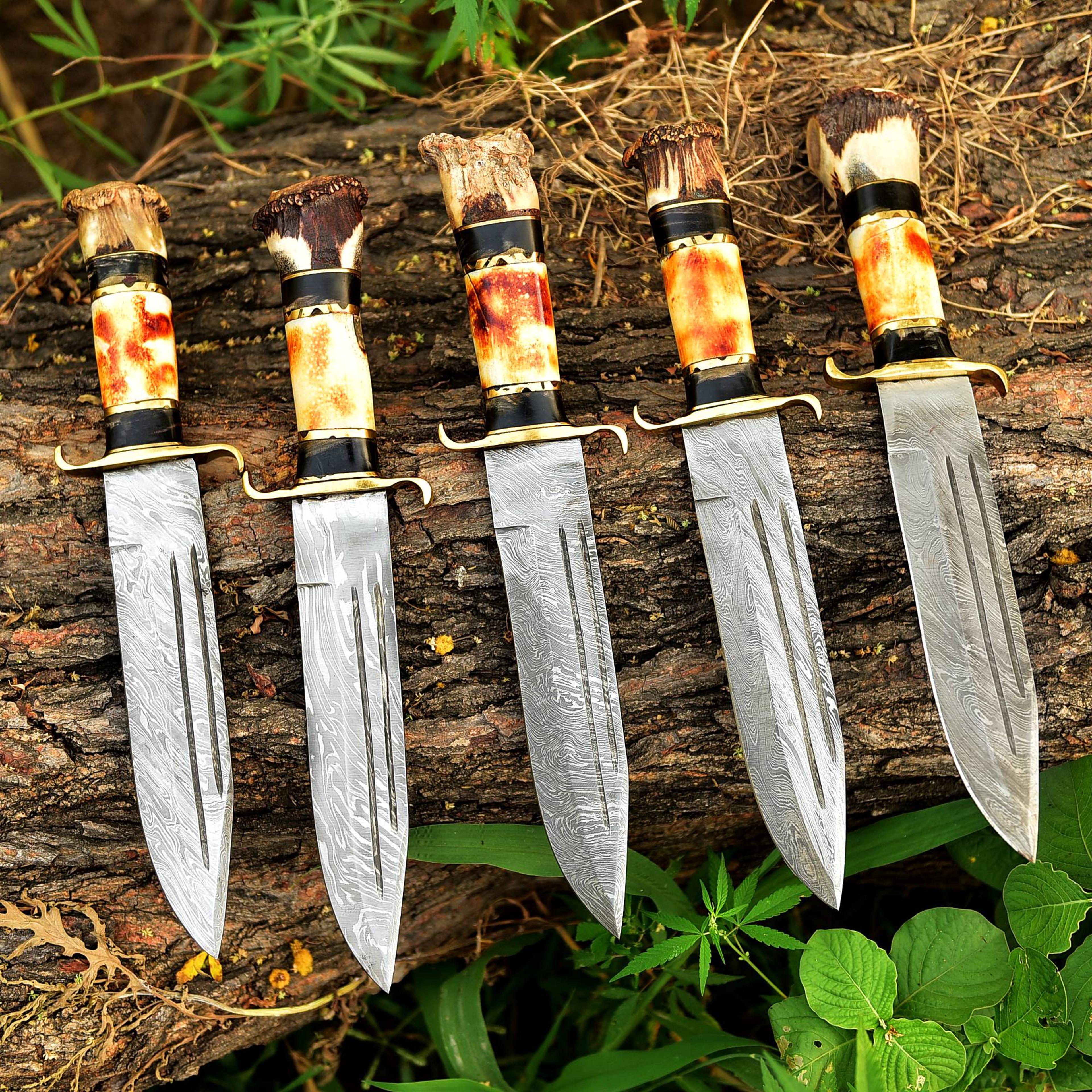 Shop cover image
