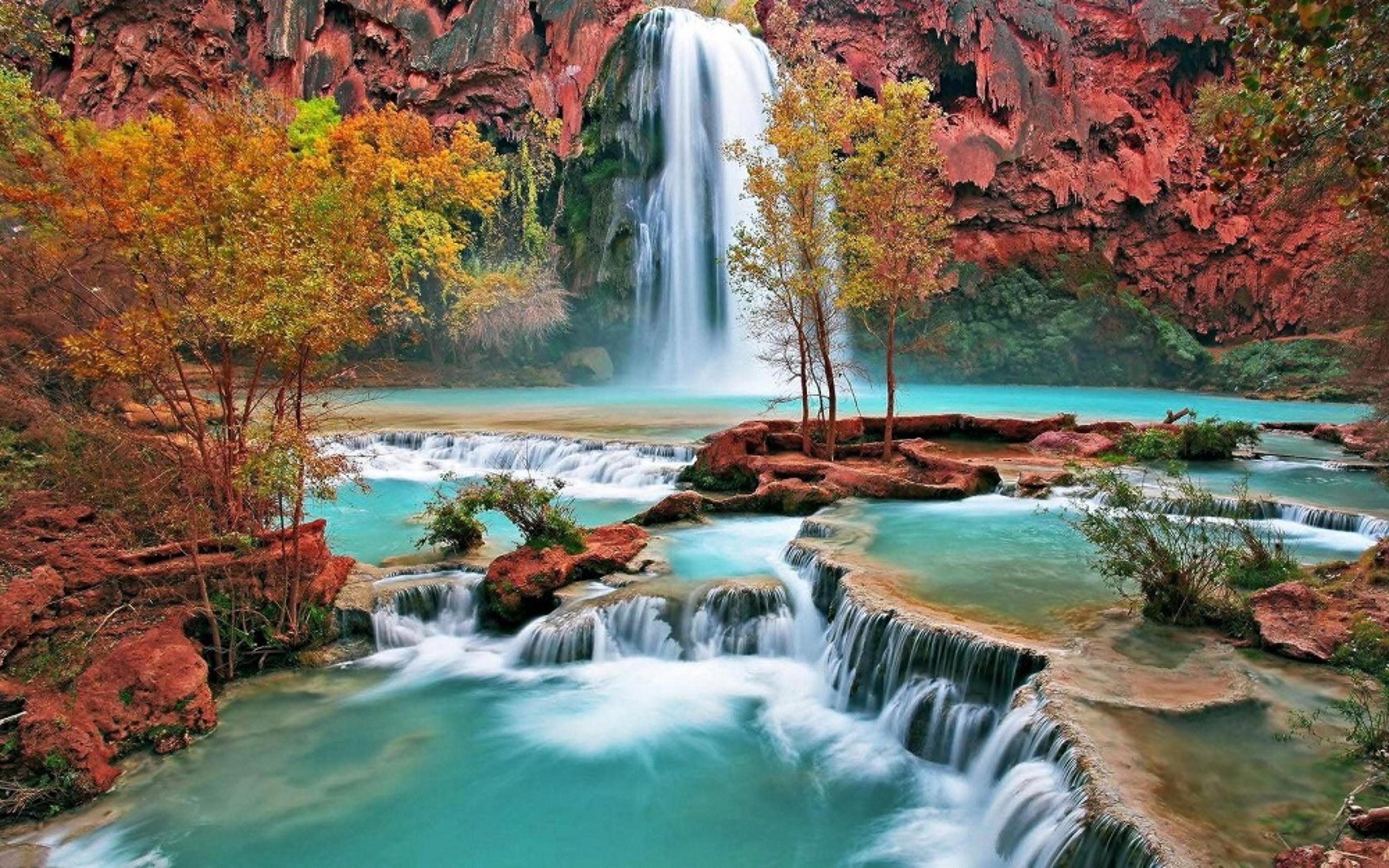 Shop cover image