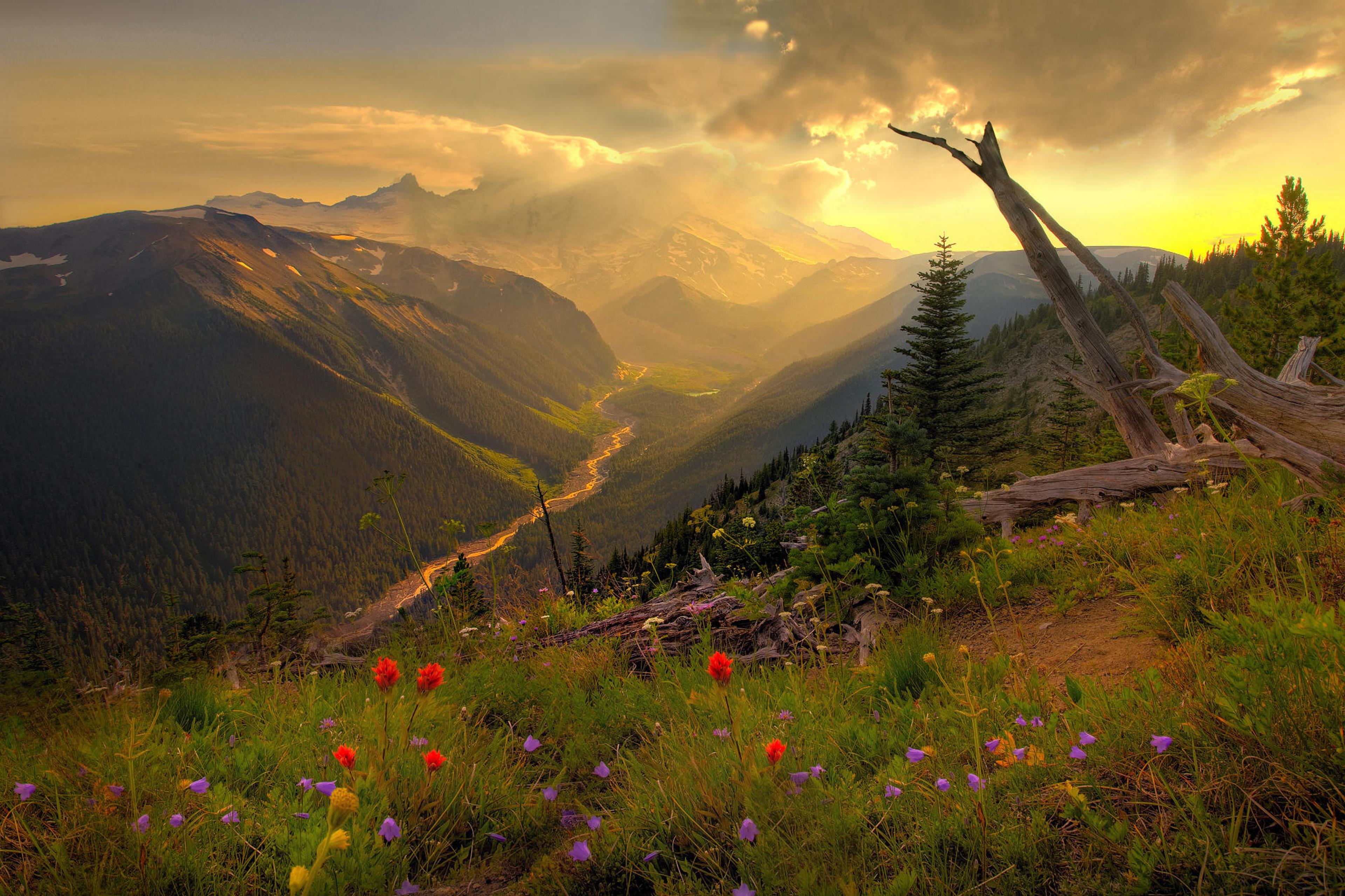 Shop cover image