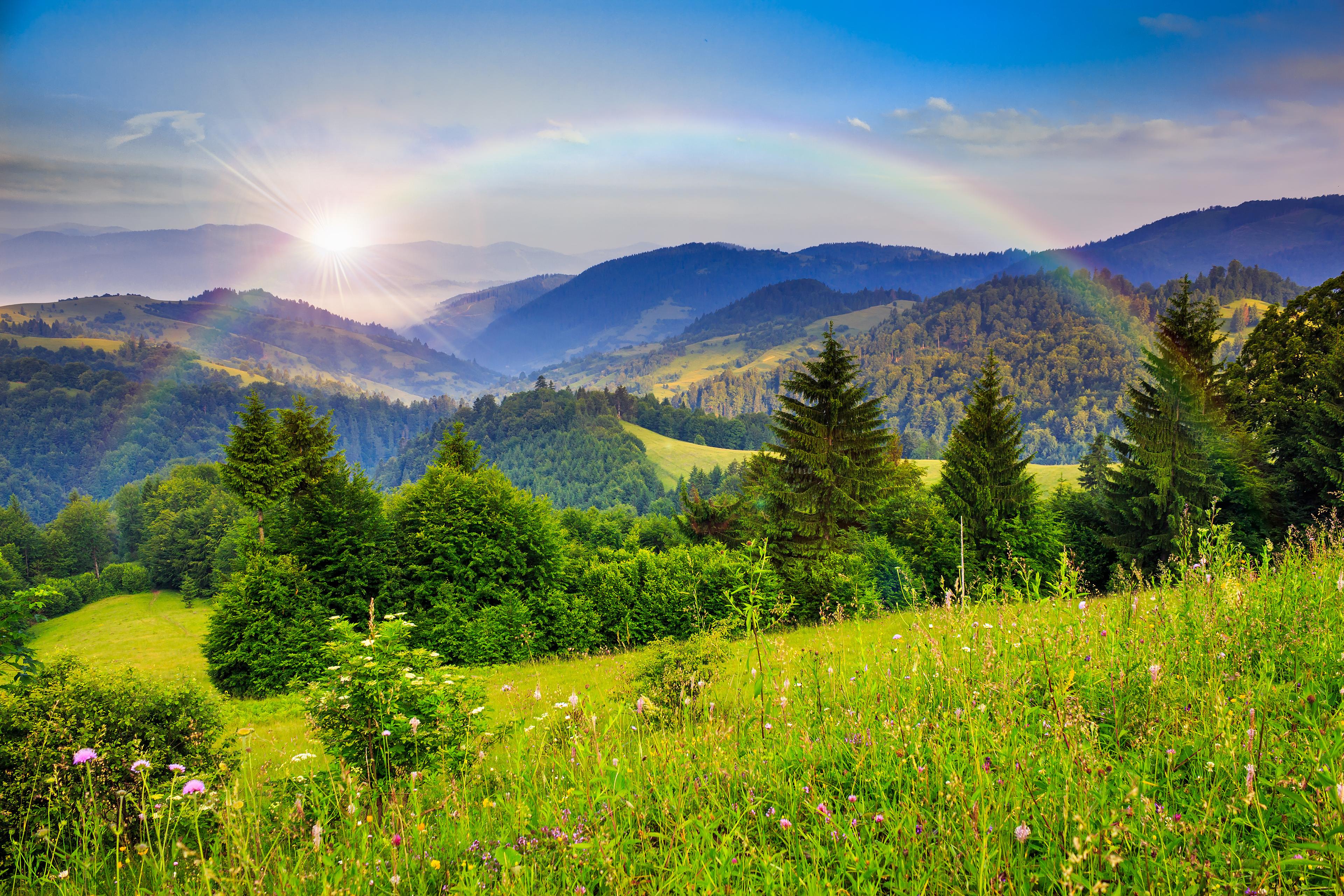 Shop cover image