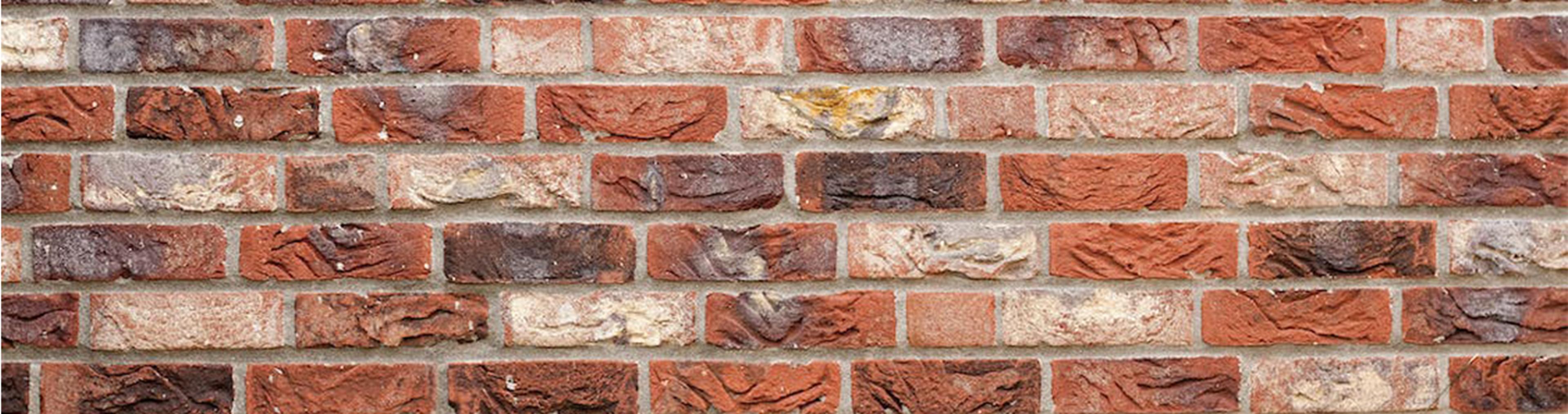 Shop cover image