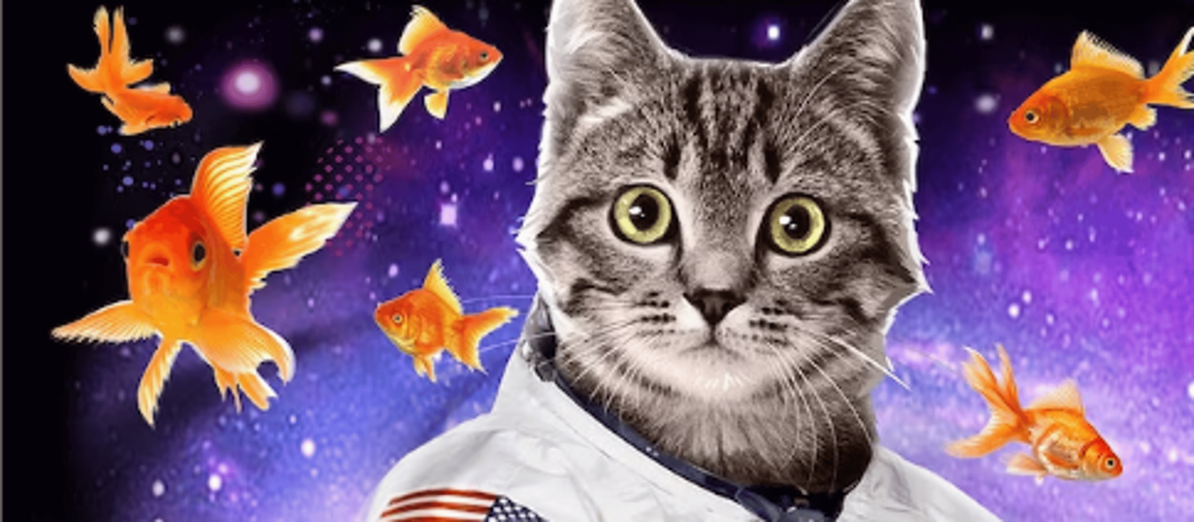 Shop cover image
