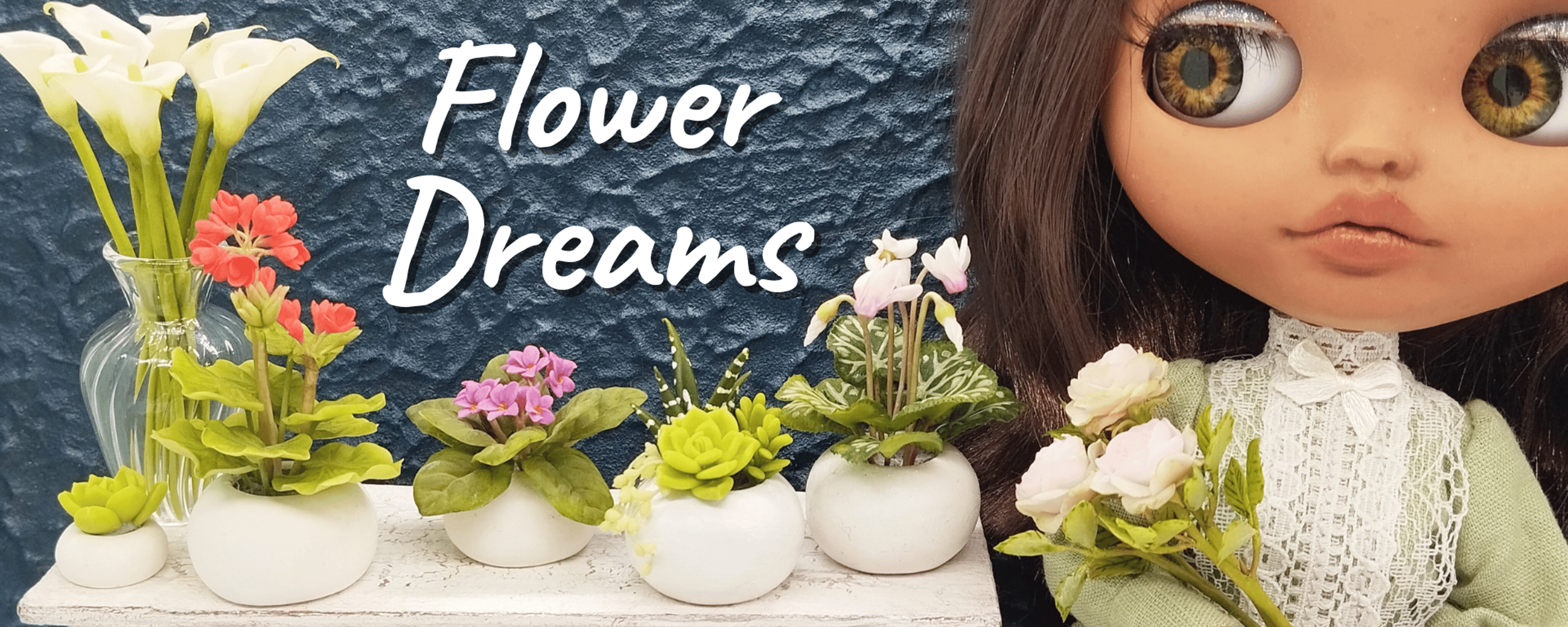 Shop cover image