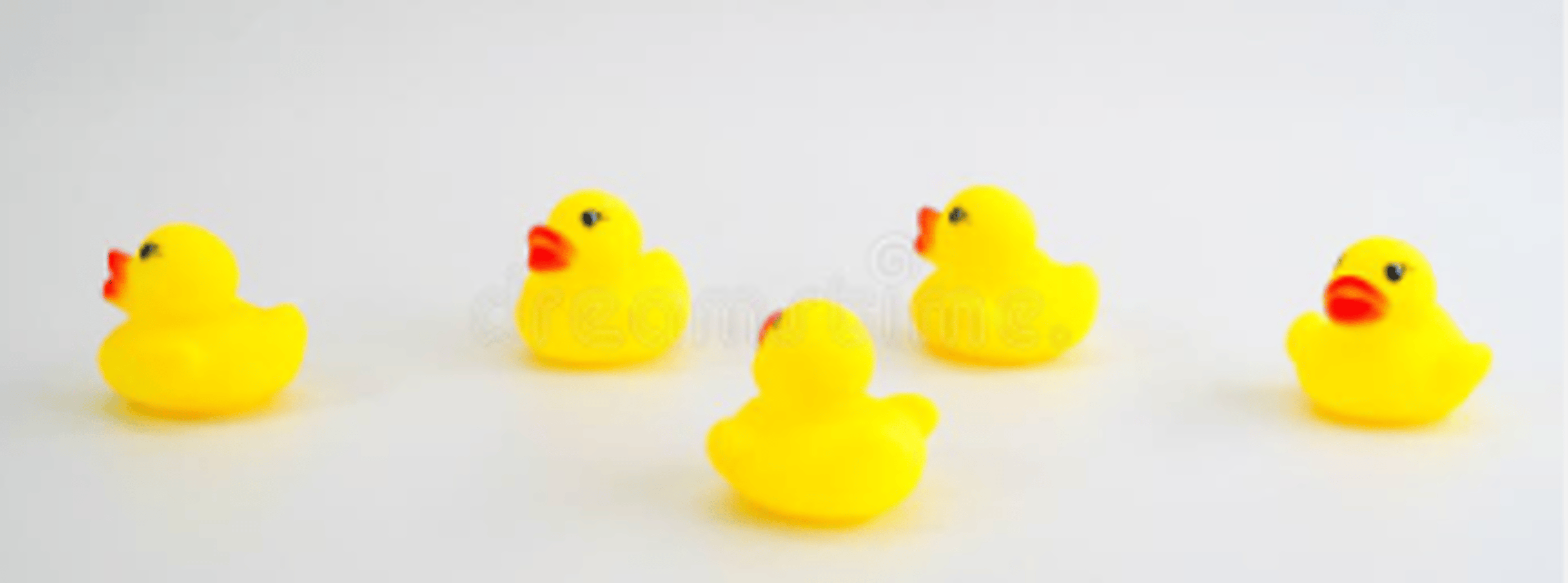 Shop cover image