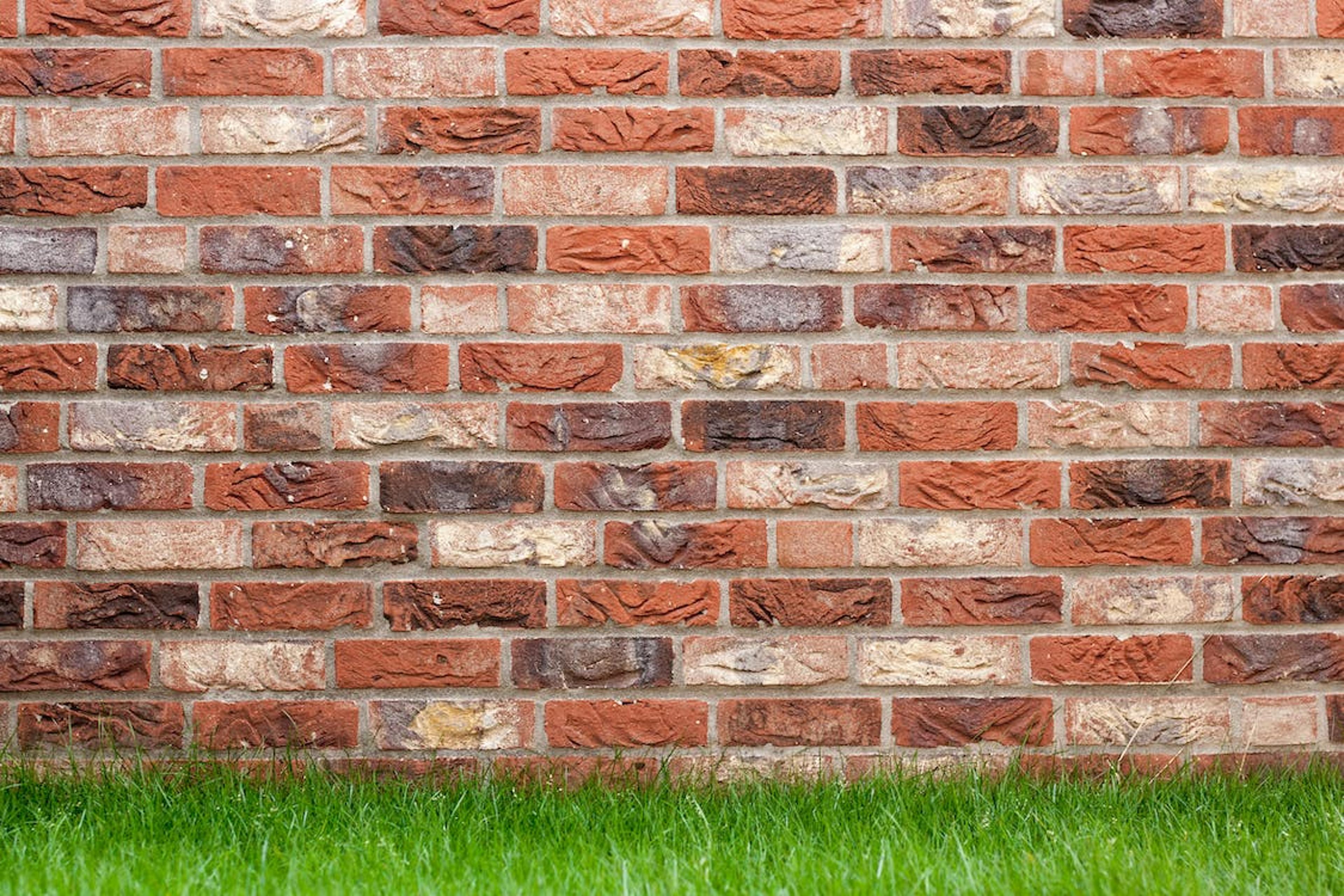 Shop cover image