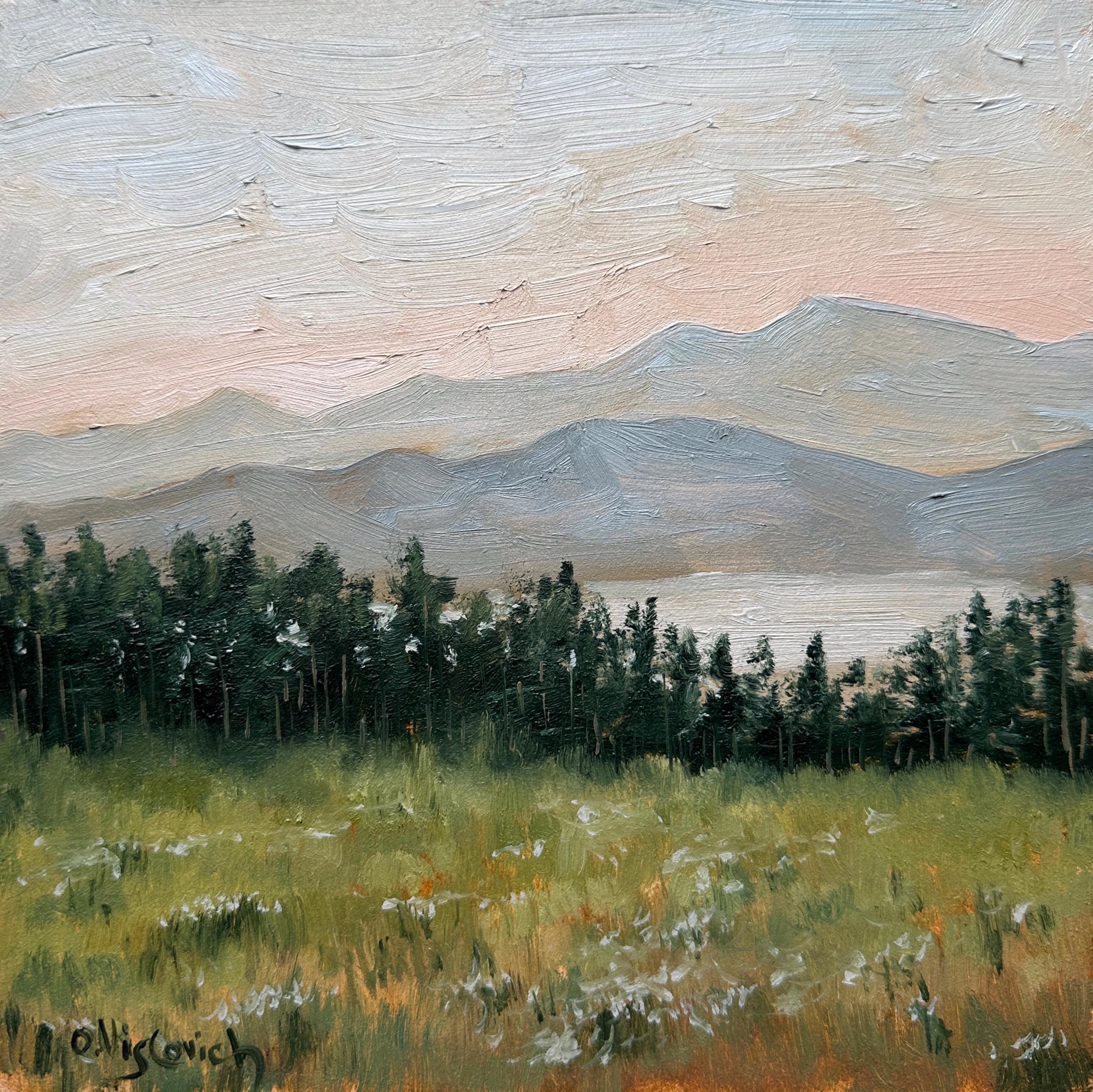 Shop cover image