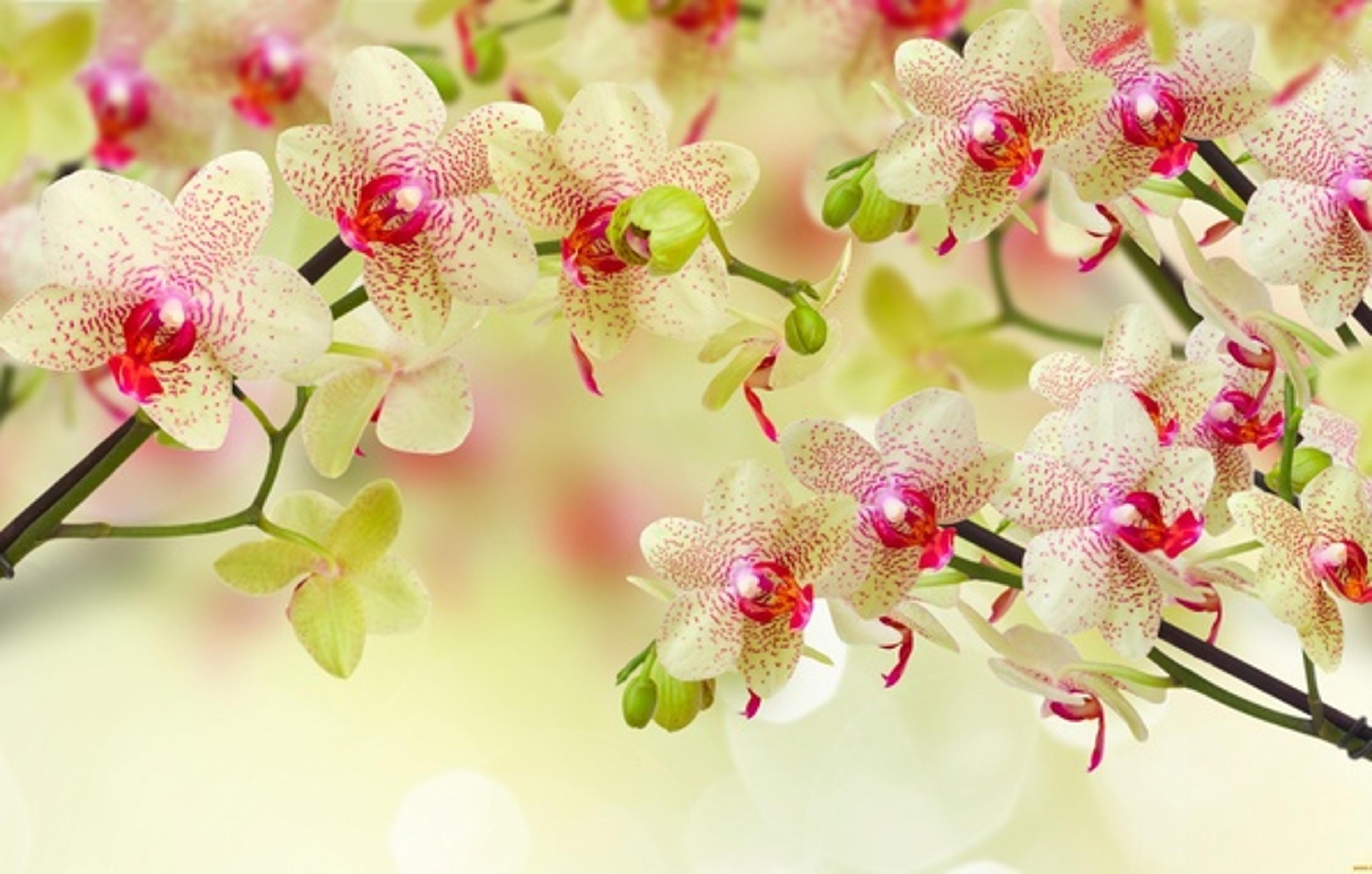 Shop cover image