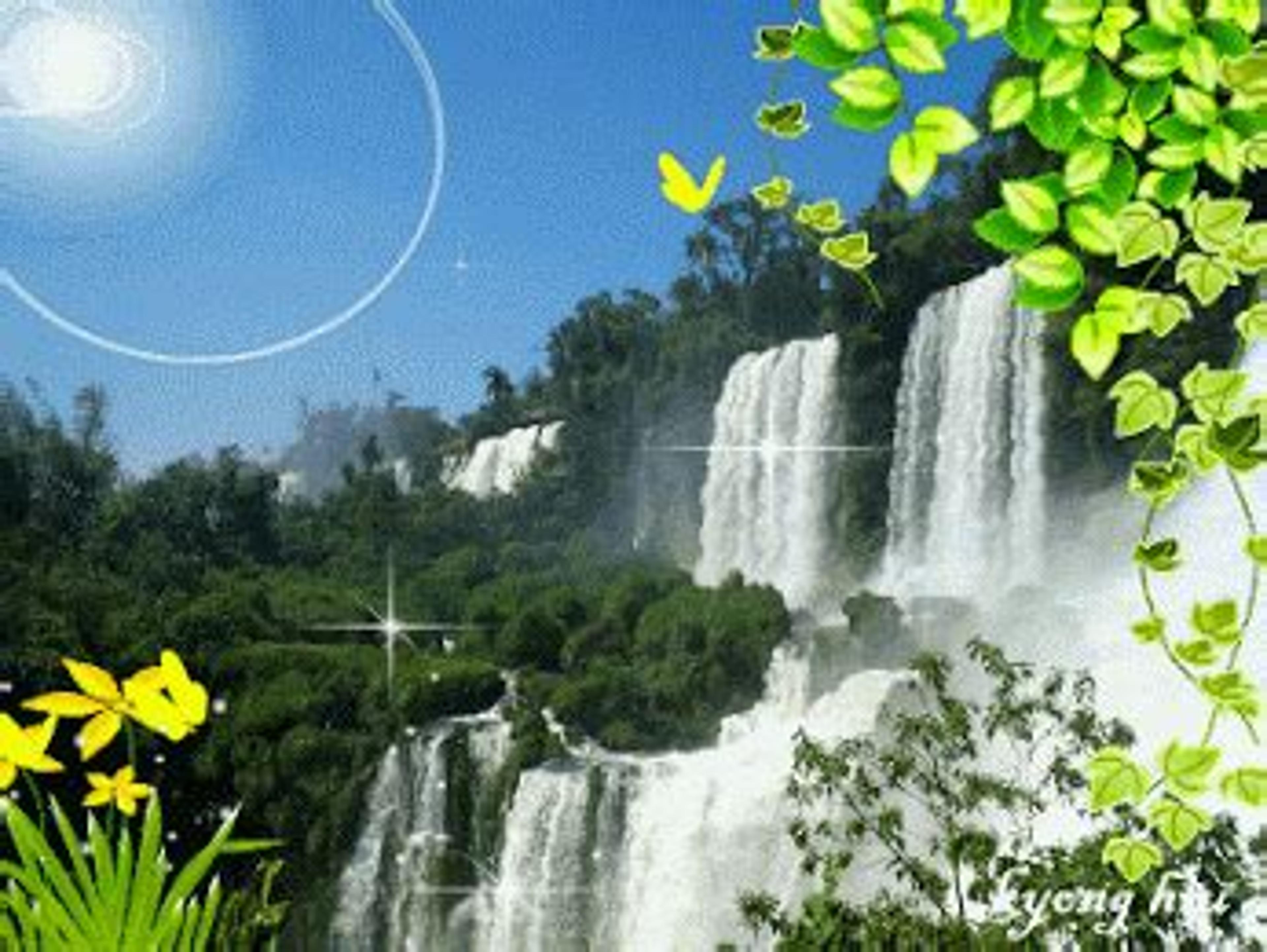 Shop cover image