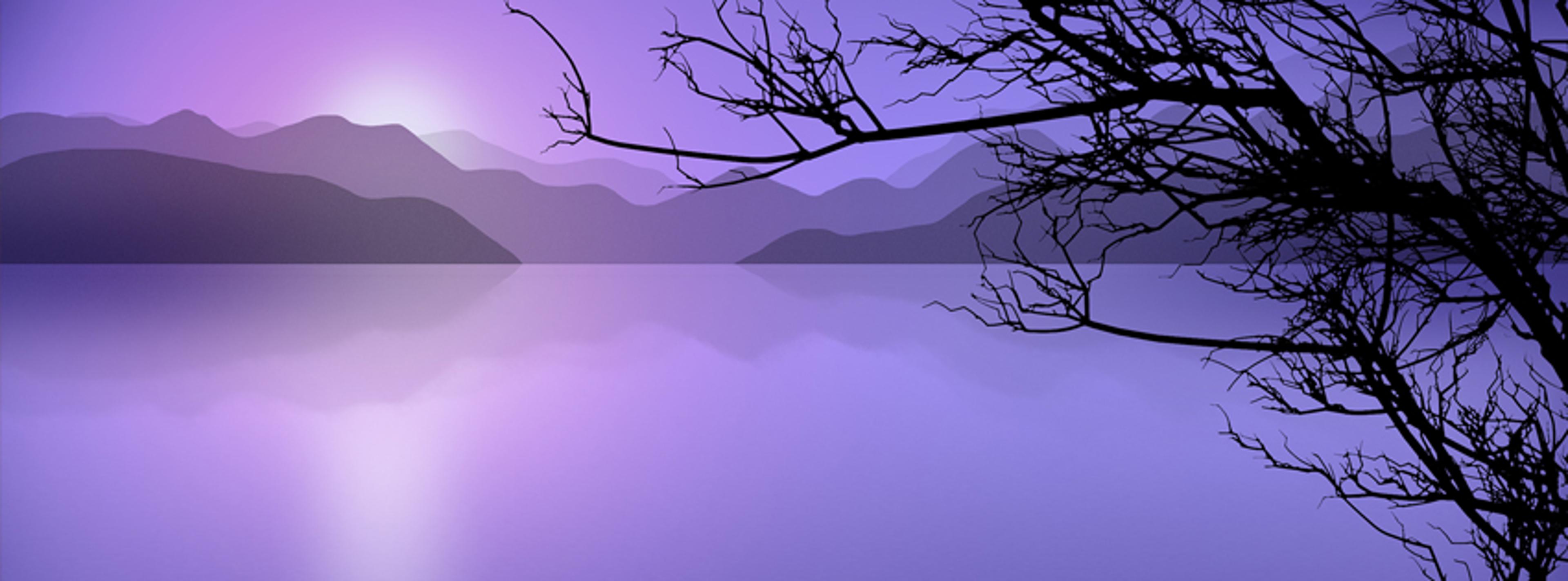 Shop cover image