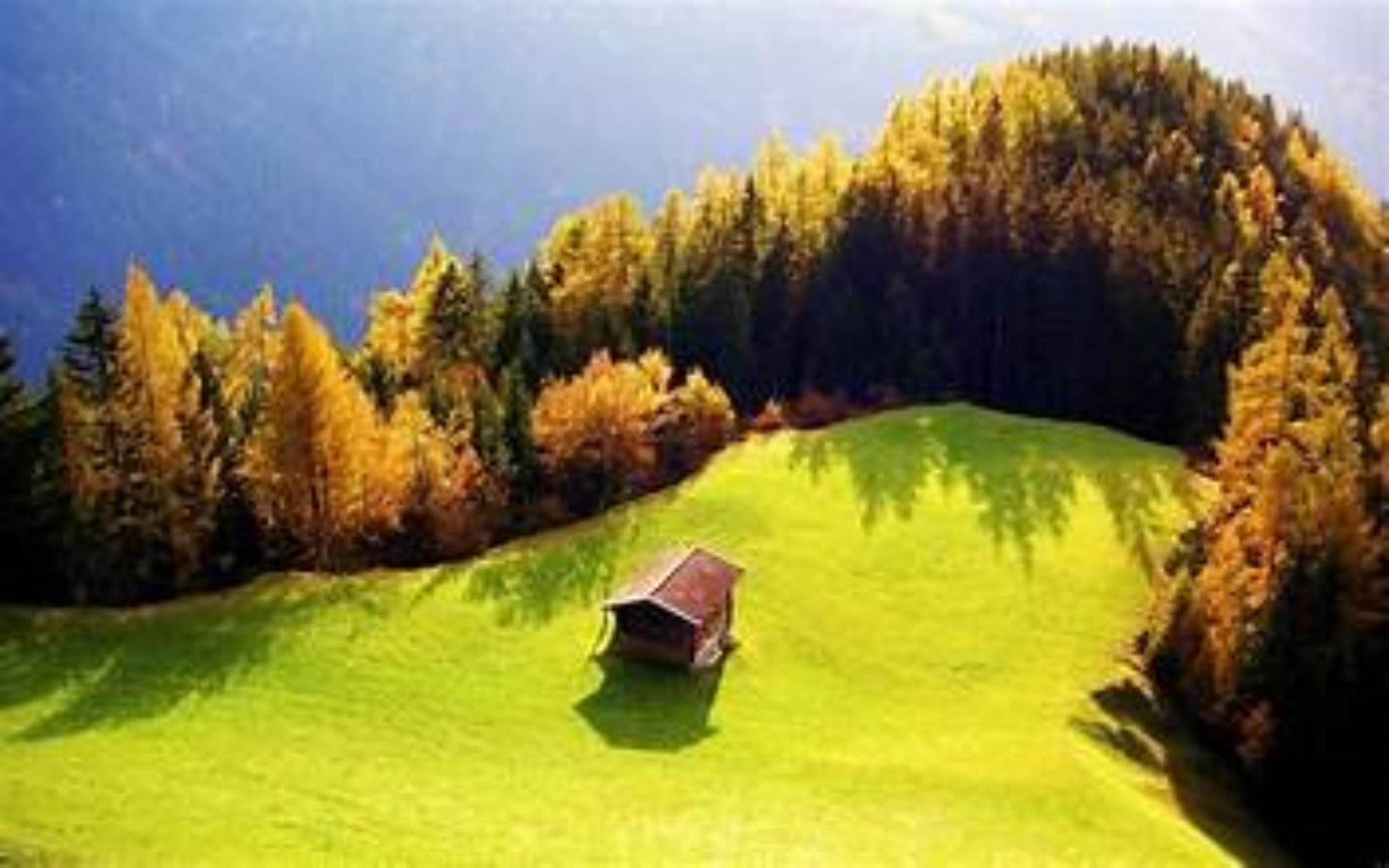 Shop cover image