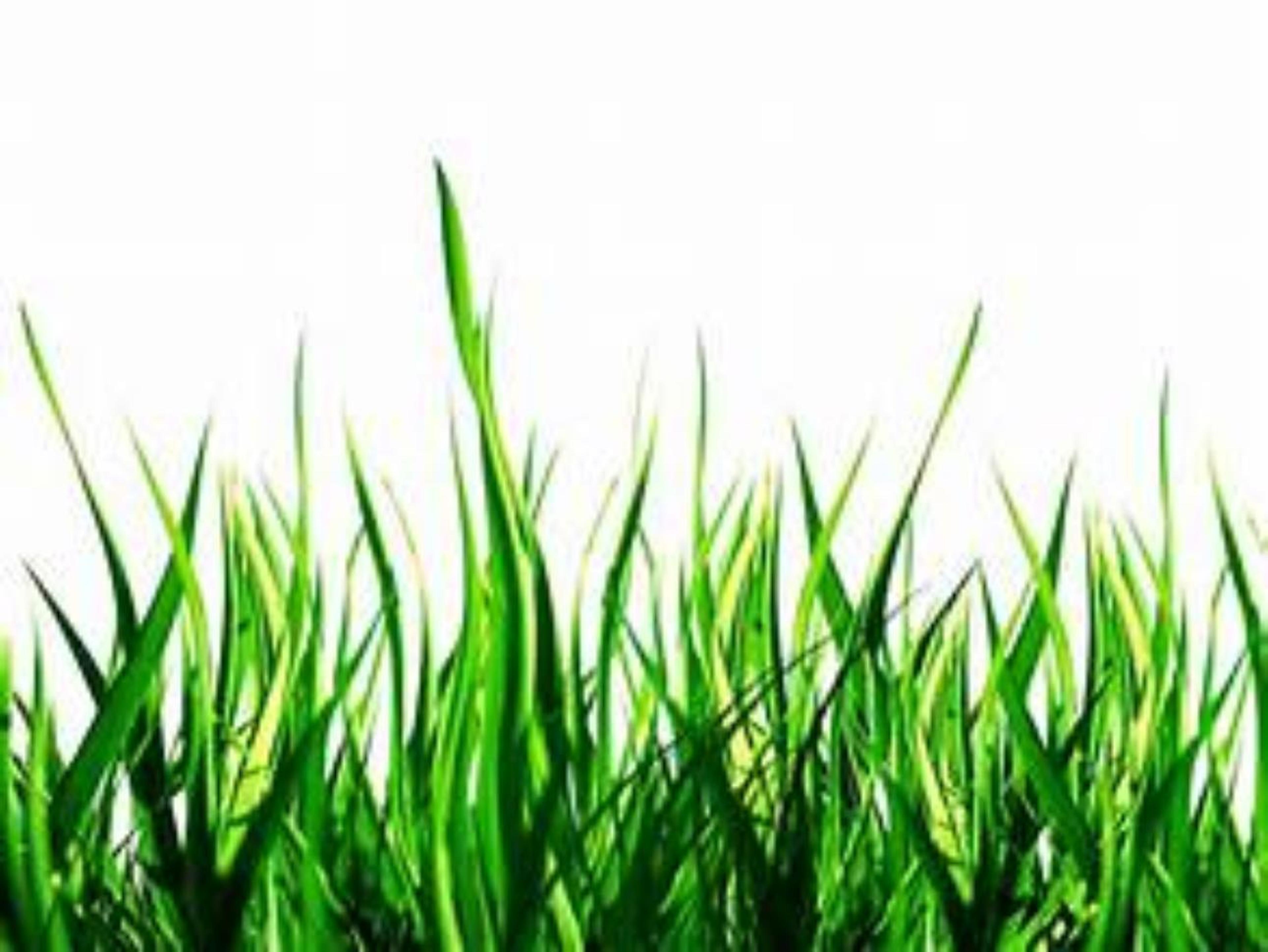 Shop cover image