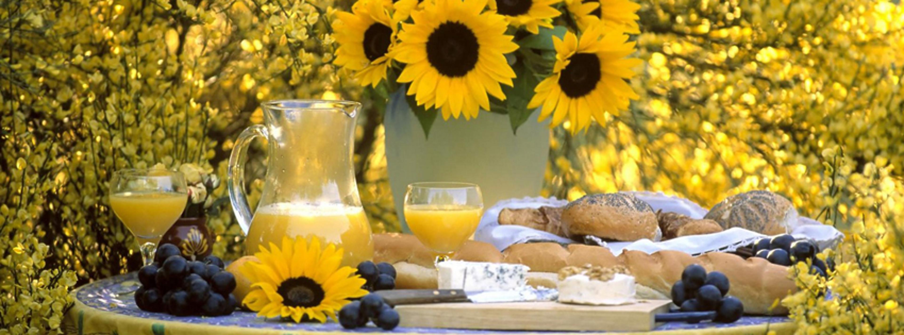 Shop cover image