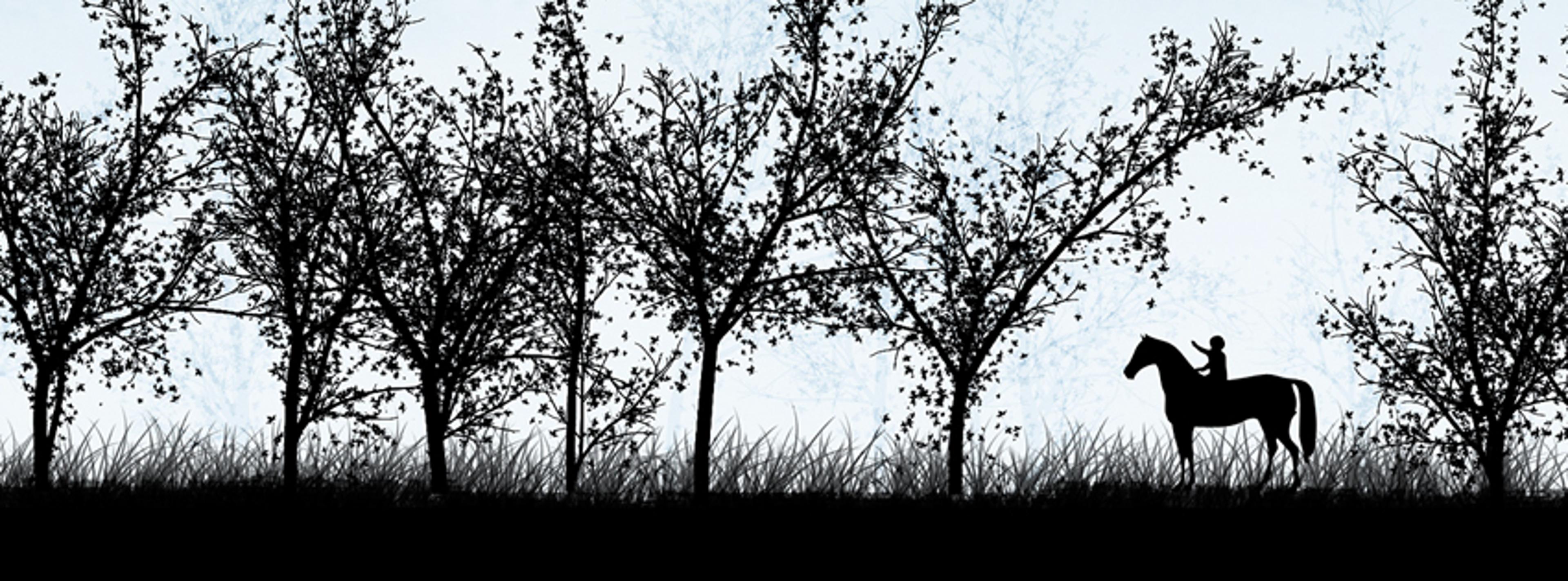 Shop cover image