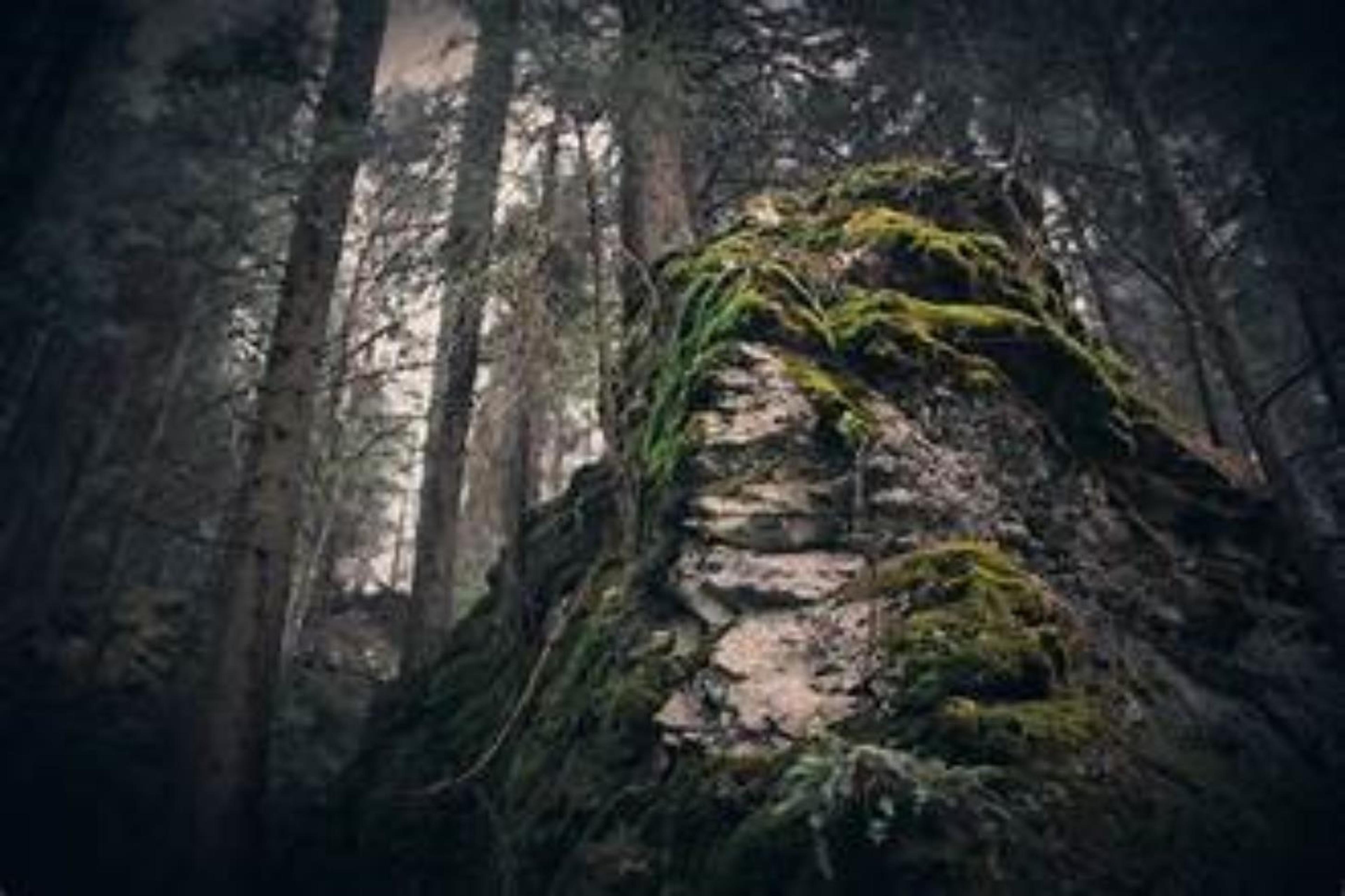Shop cover image