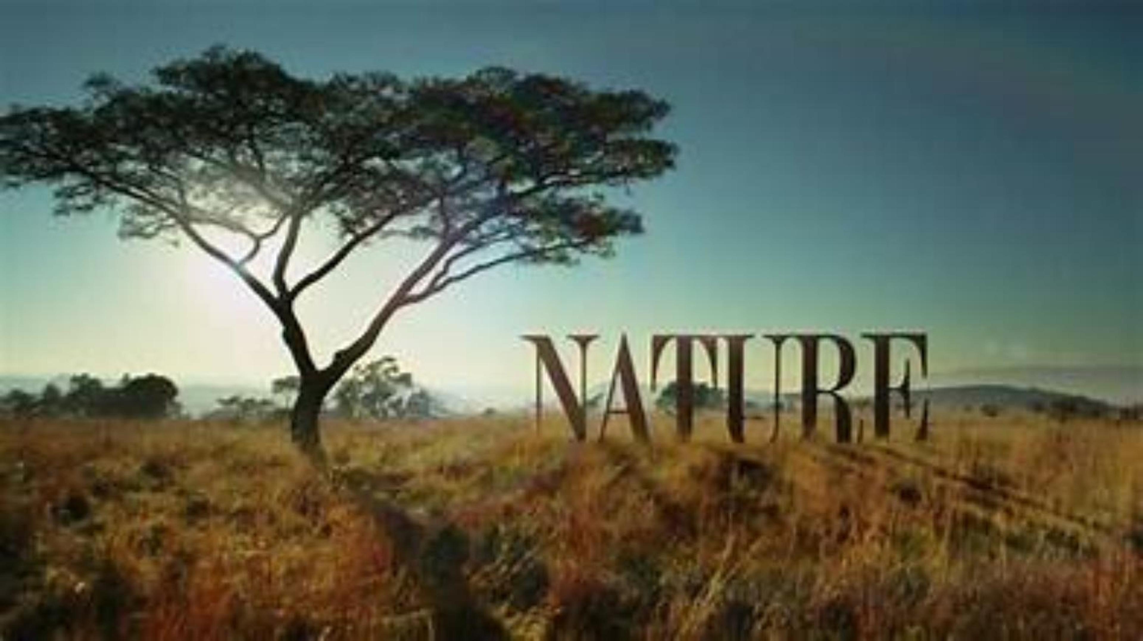 Shop cover image