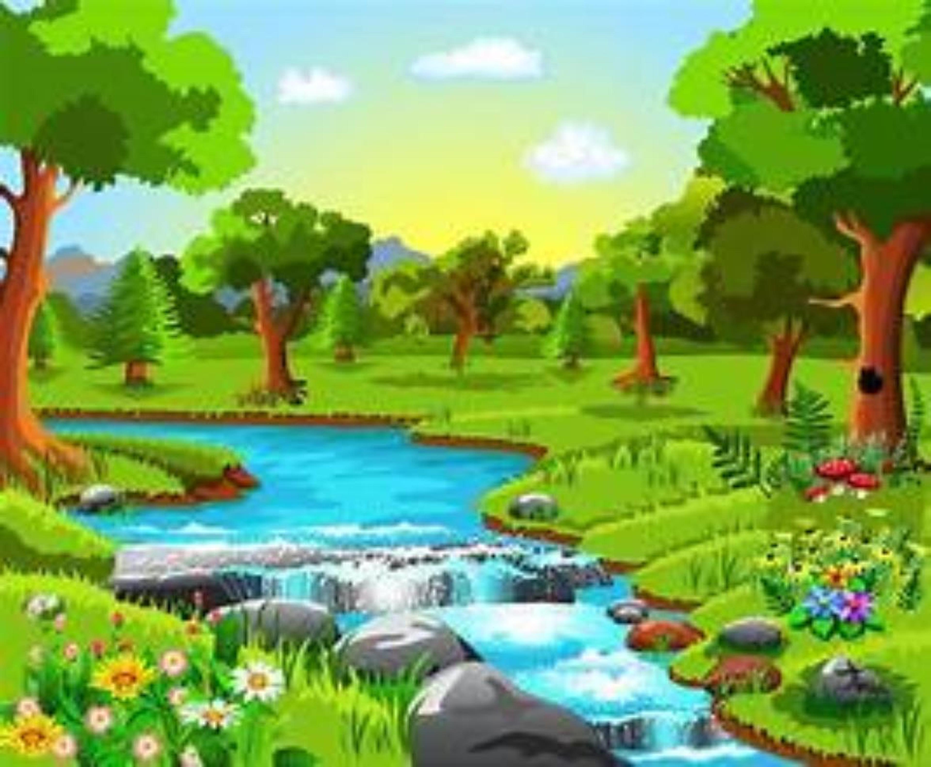 Shop cover image