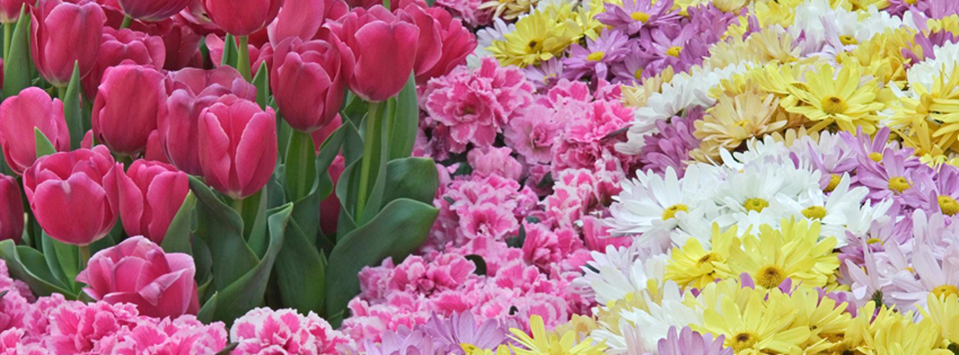 Shop cover image