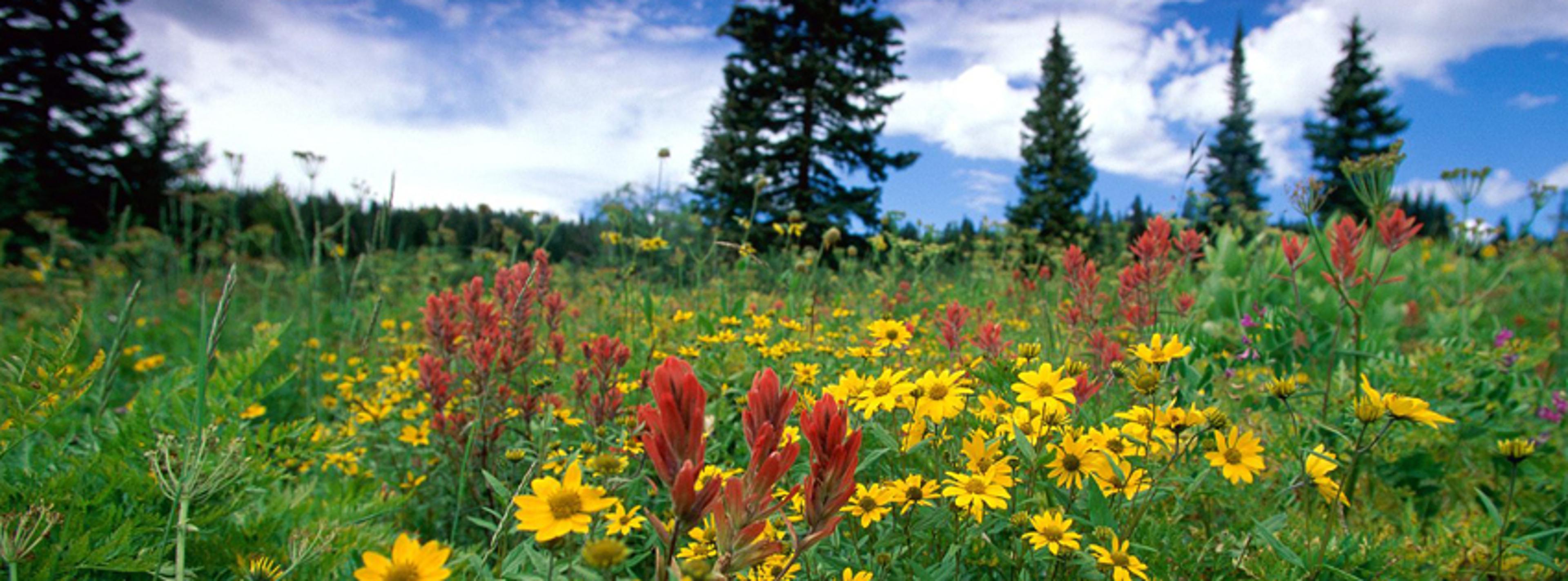 Shop cover image